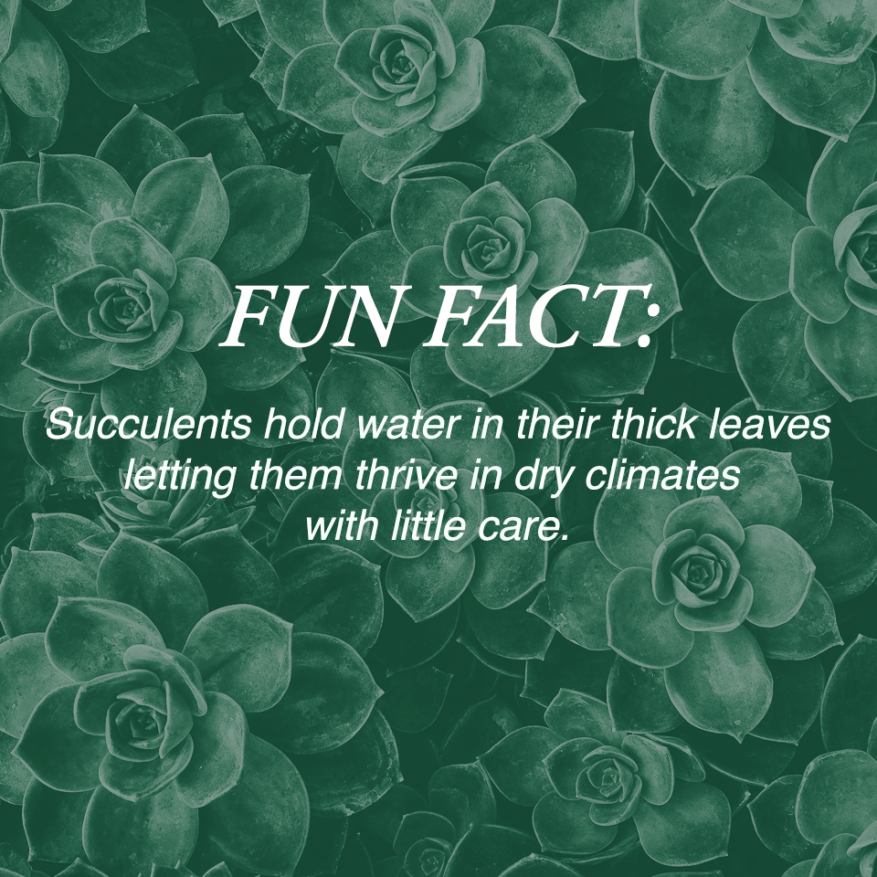 funfact.png
