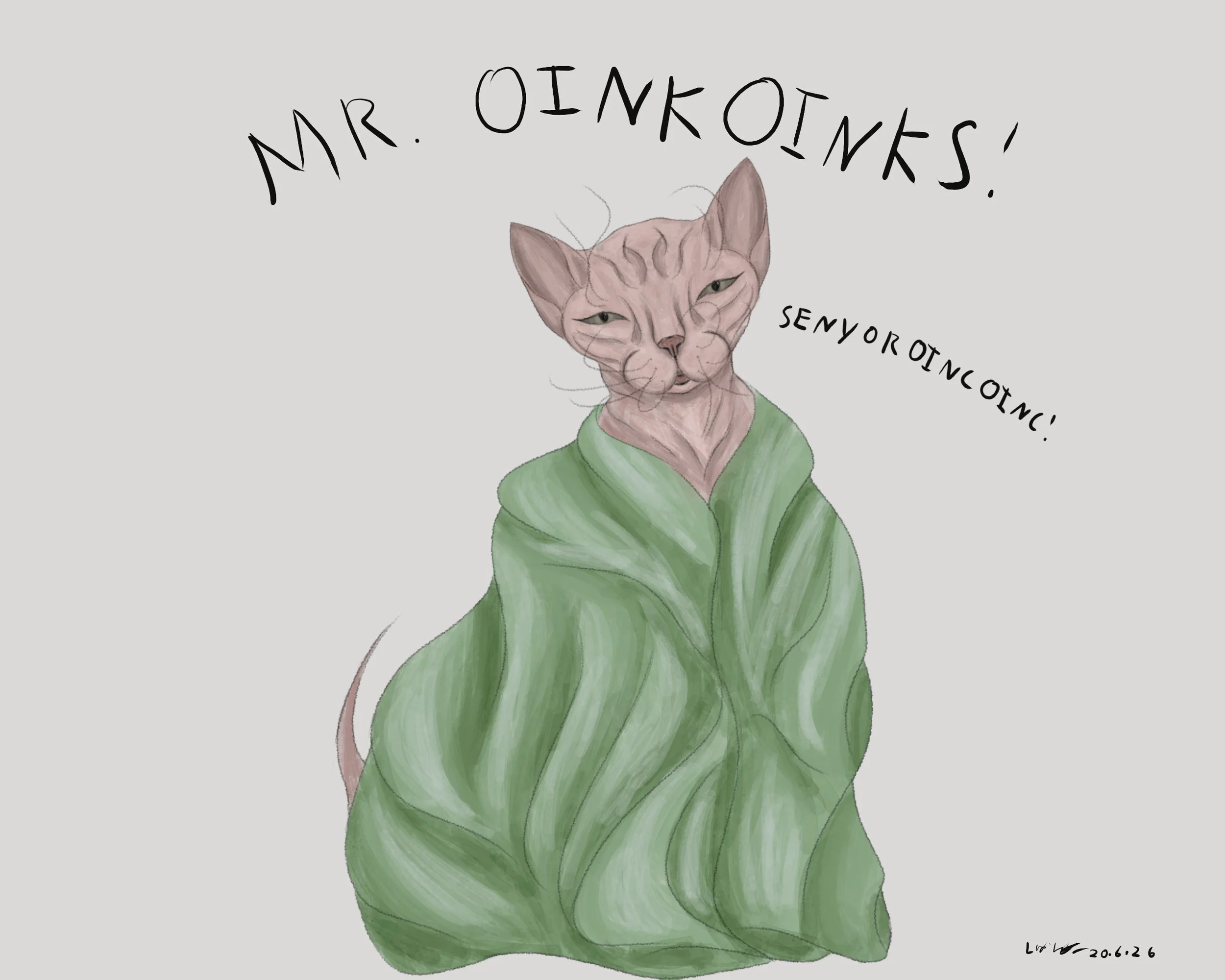 Mr Oinkoinks