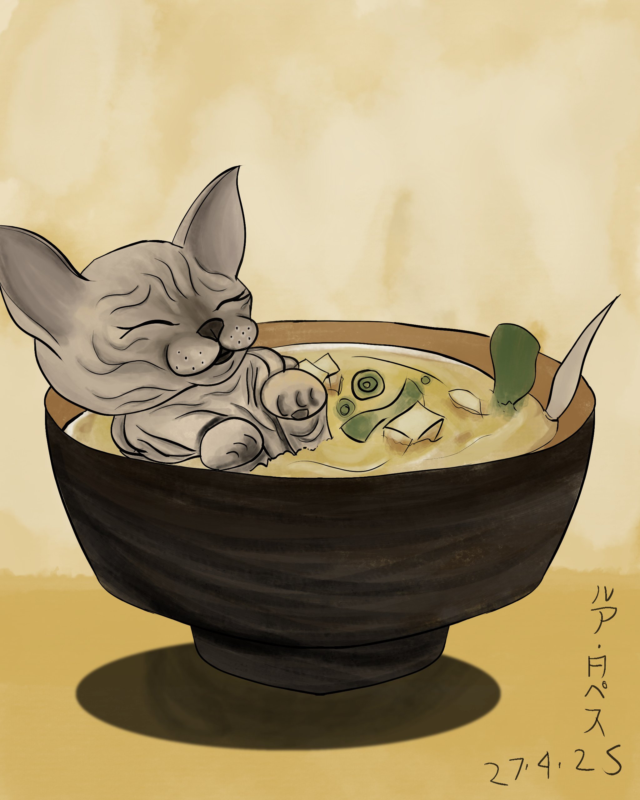 Miso Cat