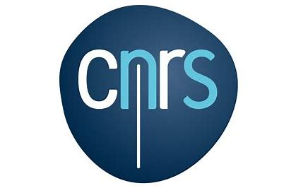 MicrosoftTeams-image (1).png