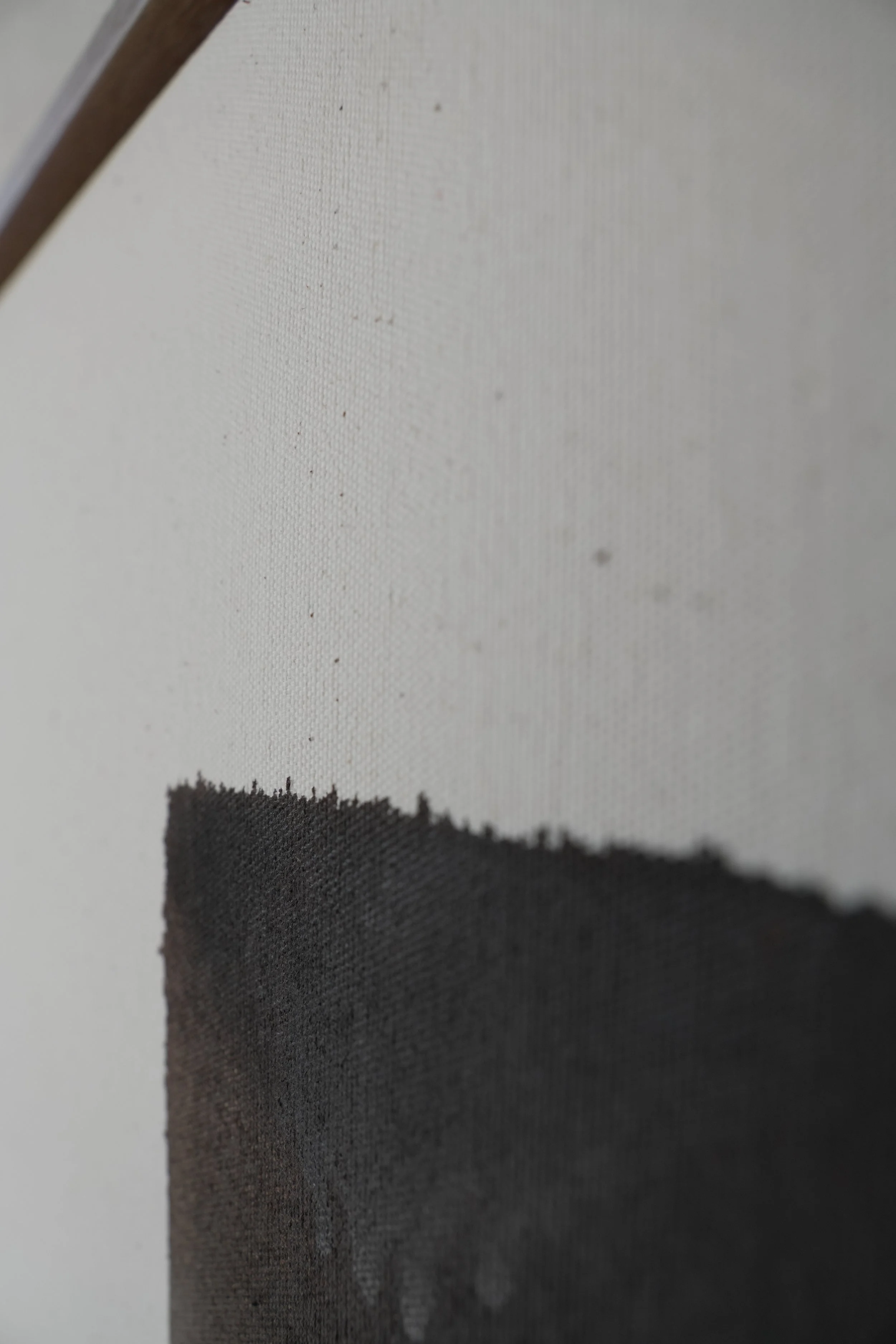 Momentum close up 2.JPG