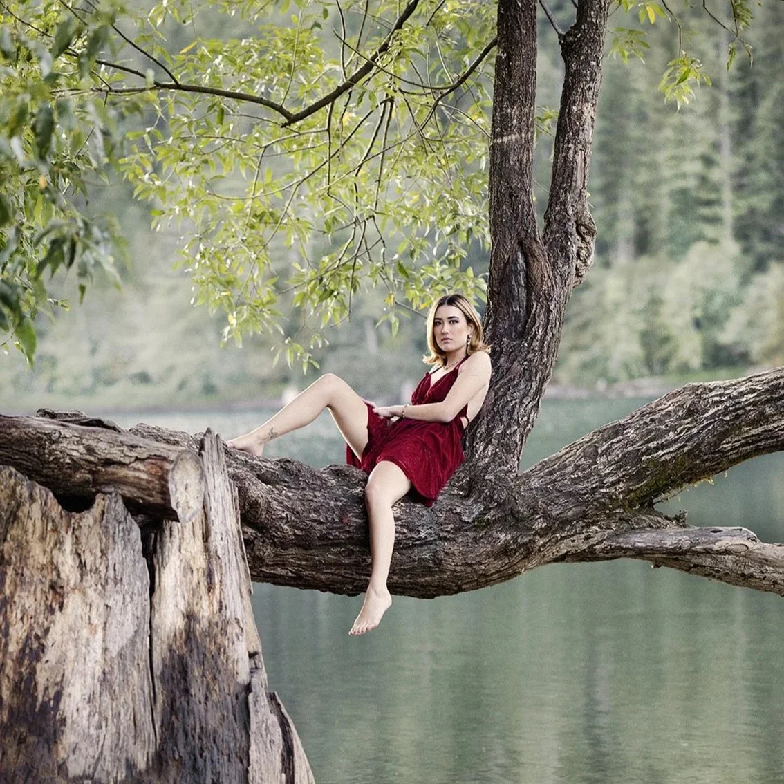 Kirkland Senior Portrait Photographer, Beauclair Photography senior portraits of girl in famous tree at Rattlesnake lake in red dress.
