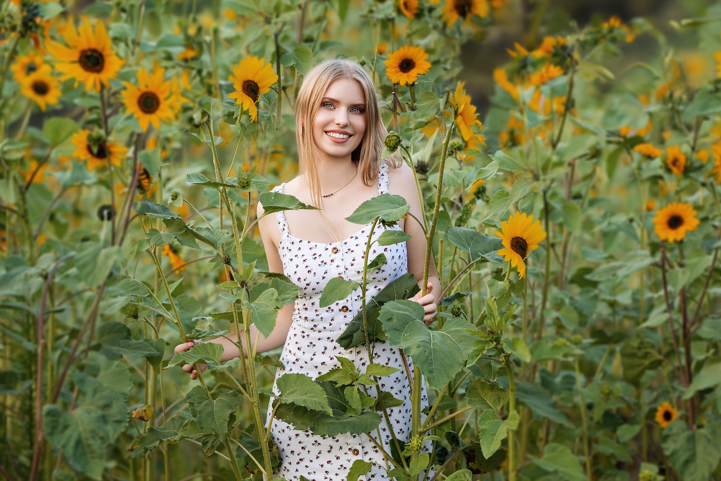  Woodinville yellow sunflower senior portrait session class of 2025 