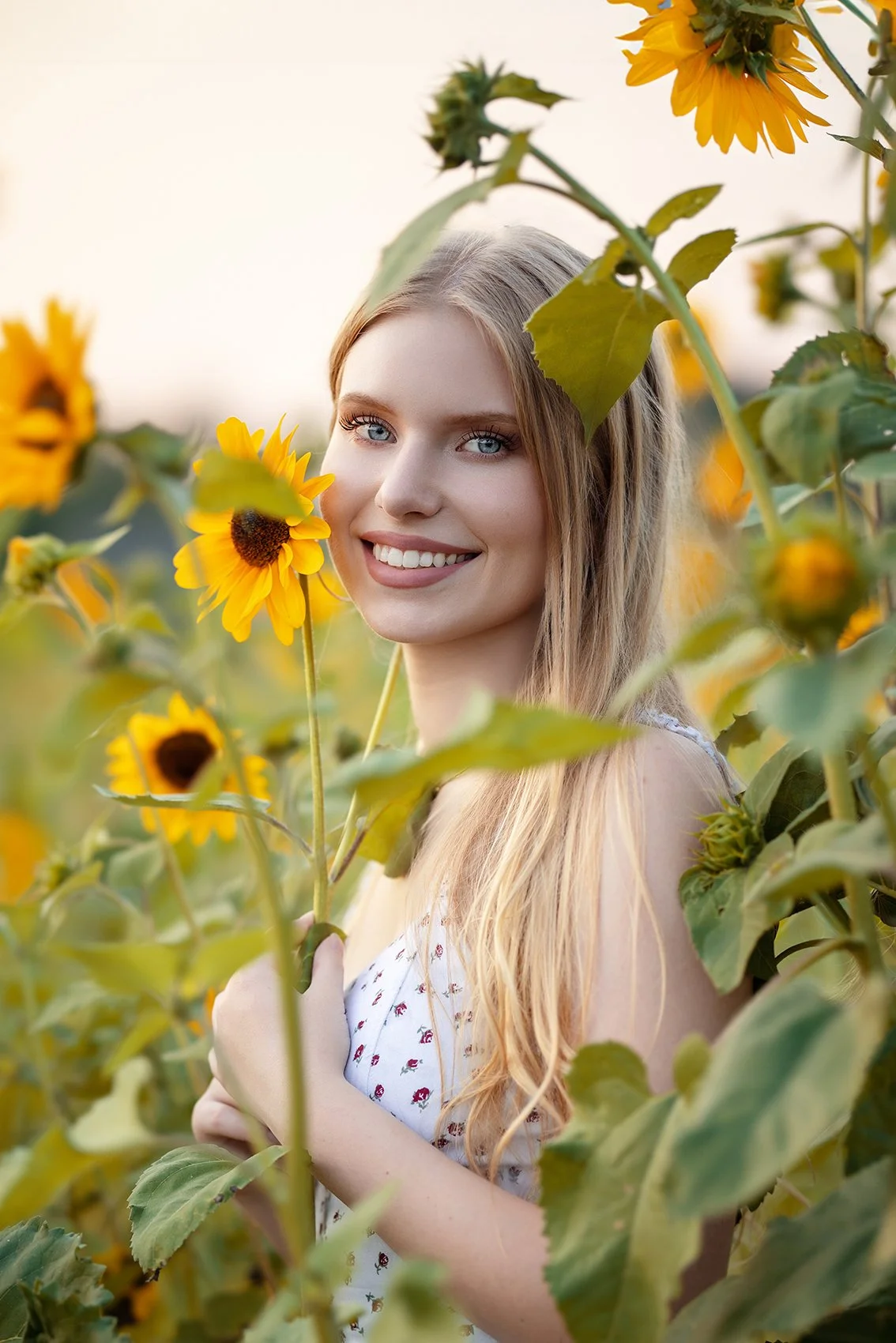 Bellevue High School Senior portraits by Beauclair Photography in a flower field