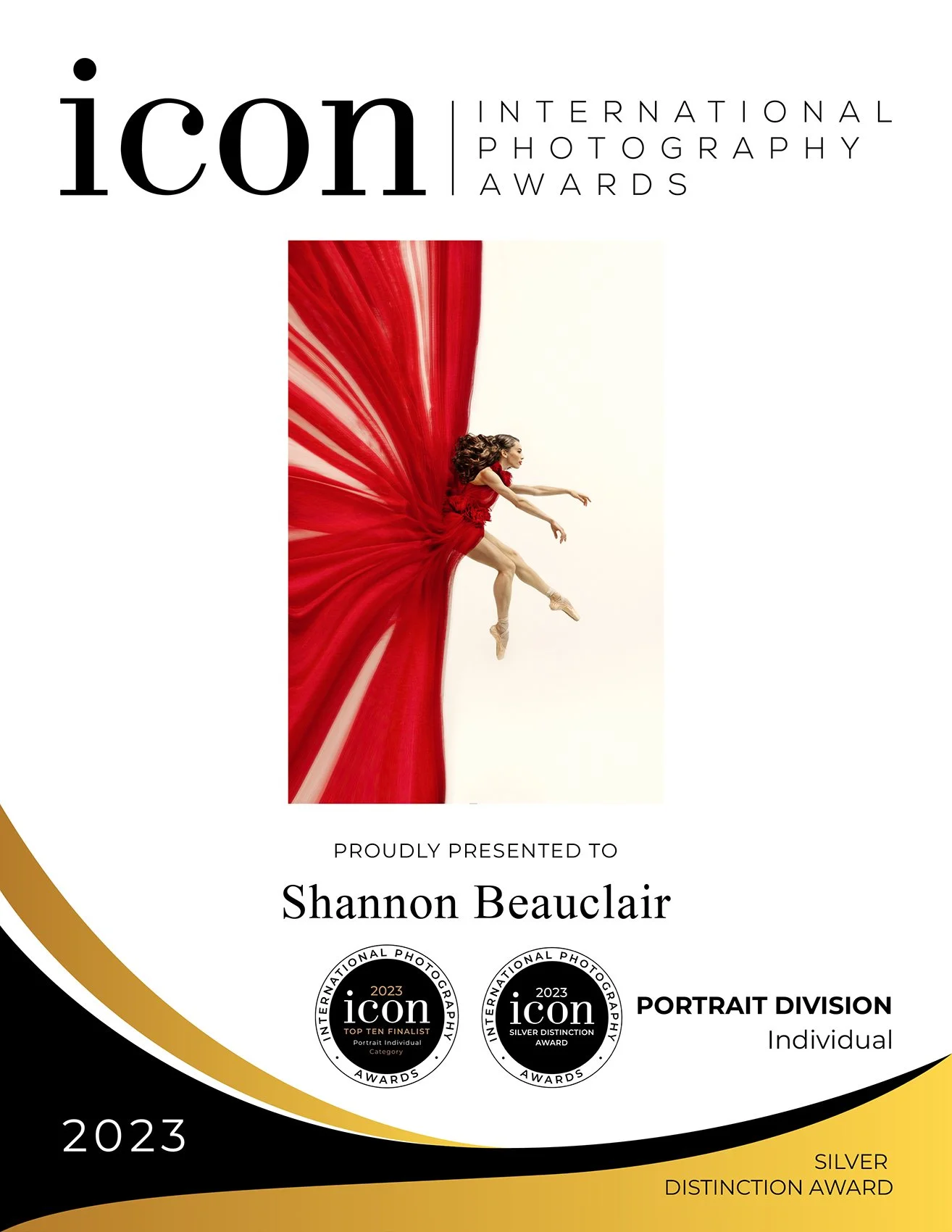 Top 10 Portrait Category Icon International 2023