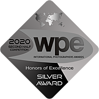 Second Place - Silver Award WPE Honors