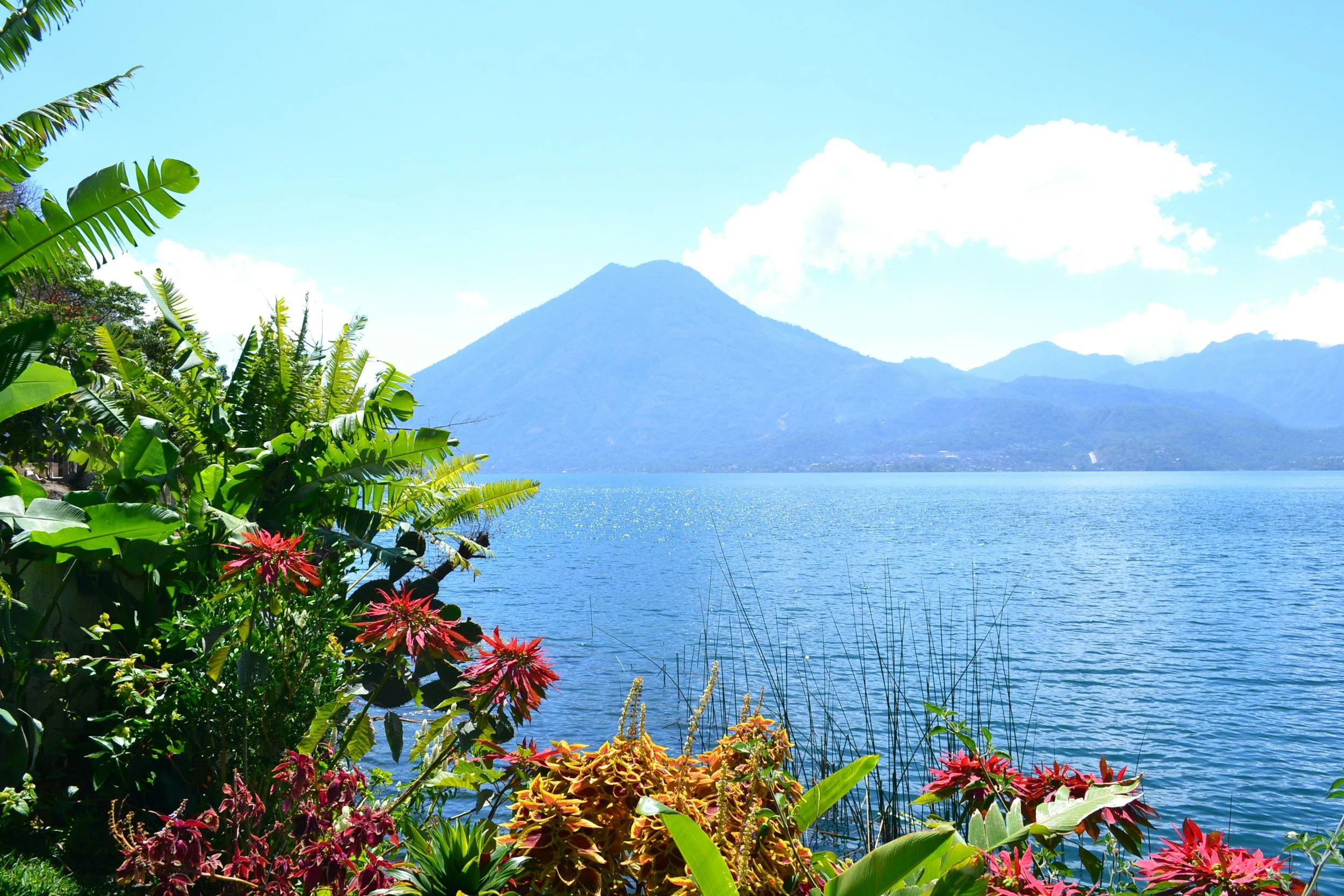 Tropical landscape with a lake, lush green plants and colorful flowers in the foreground, and mountains under a blue sky with a few clouds in the background.