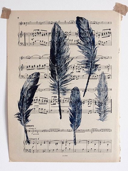 five feathers on music paper.jpg