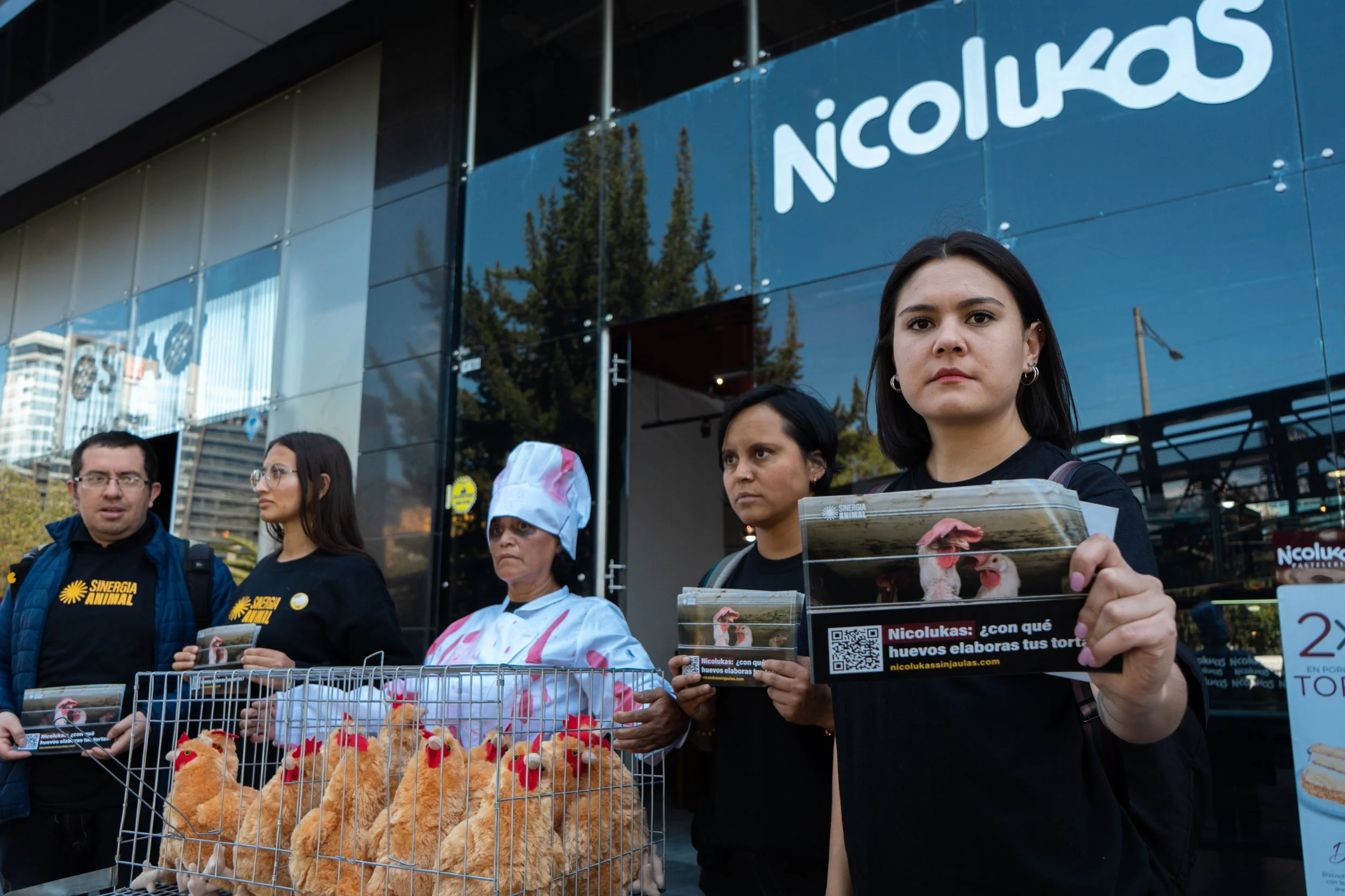 A close-up circular graphic featuring Sinergia Animal activists during a peaceful protest outside a Nicolini store, including a woman dressed as a chef holding a small wire cage.