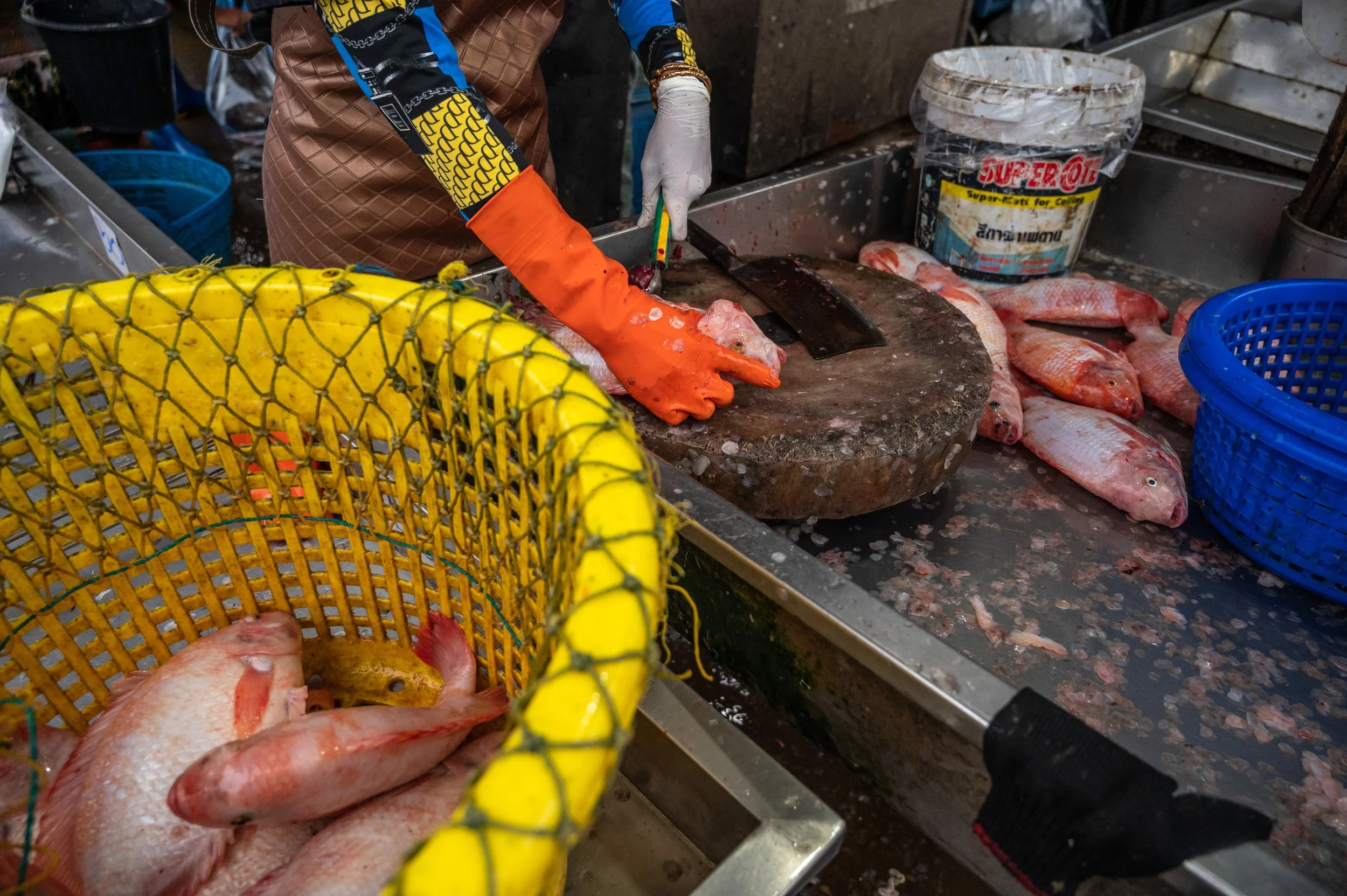 fish farm thailand-79.jpg