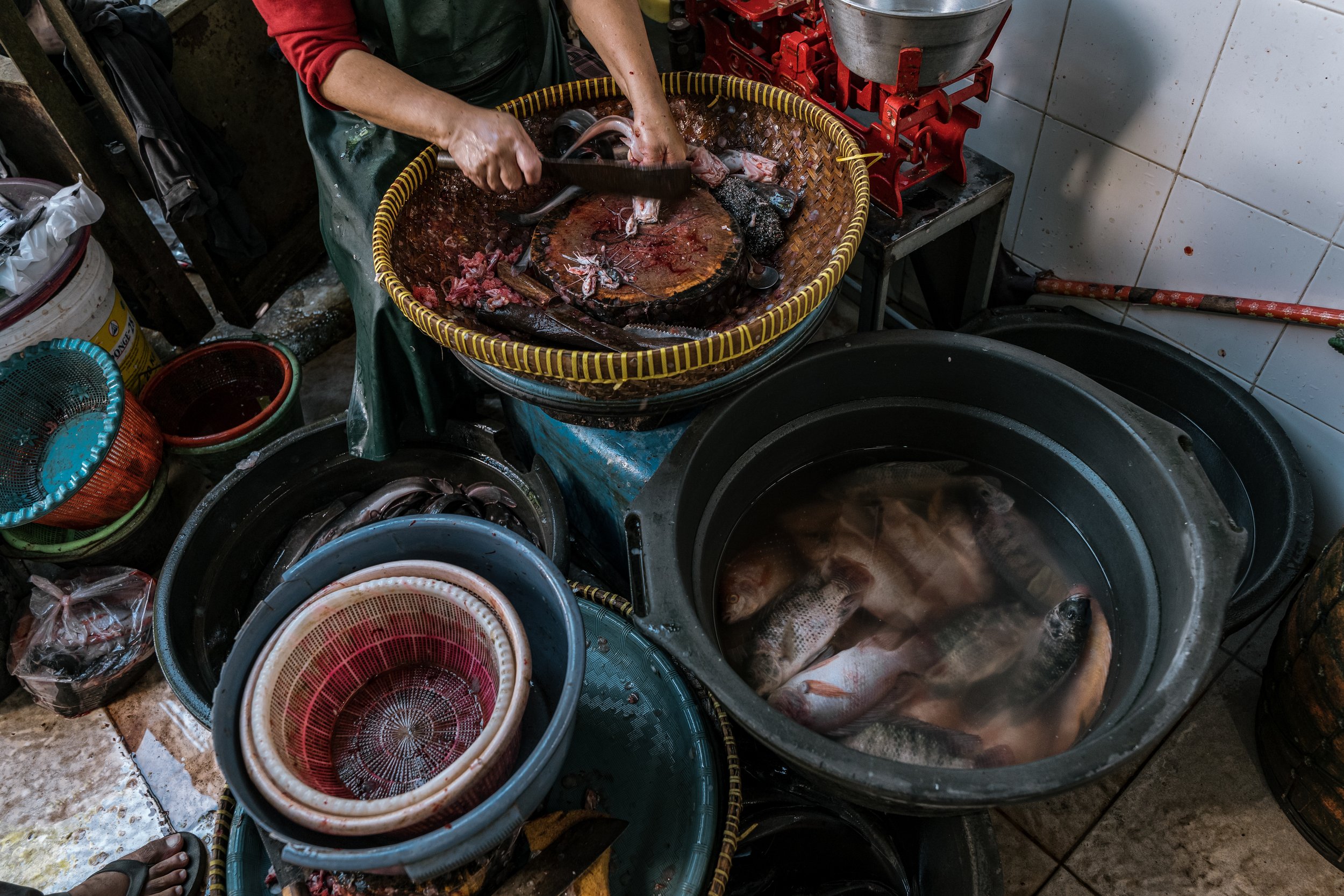 fish farm indonesia-2.jpg