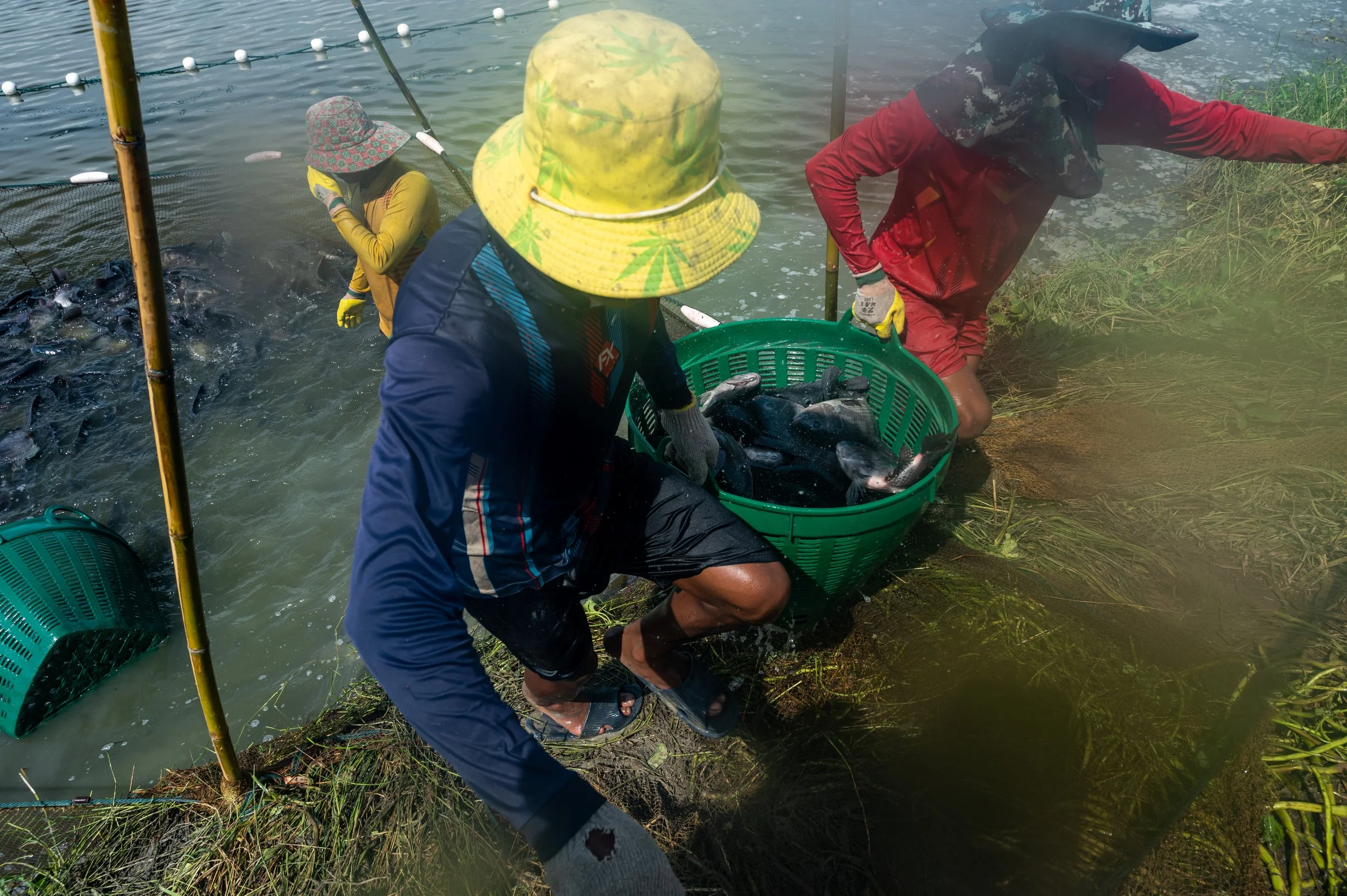 fish farm thailand-140.jpg