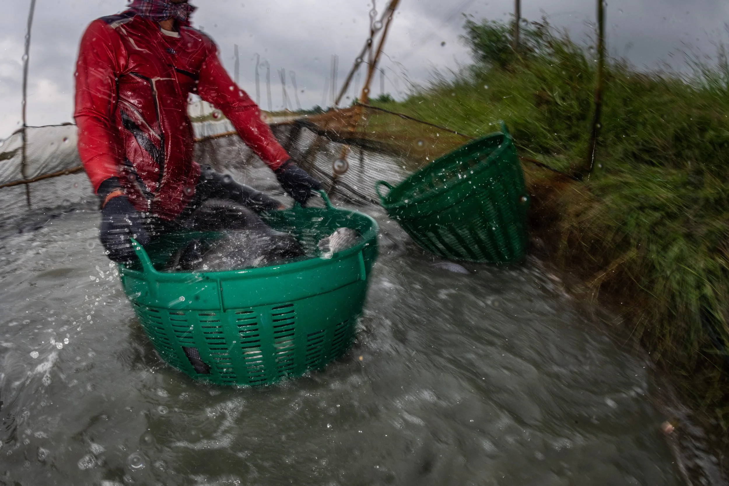 fish farm thailand-155.jpg