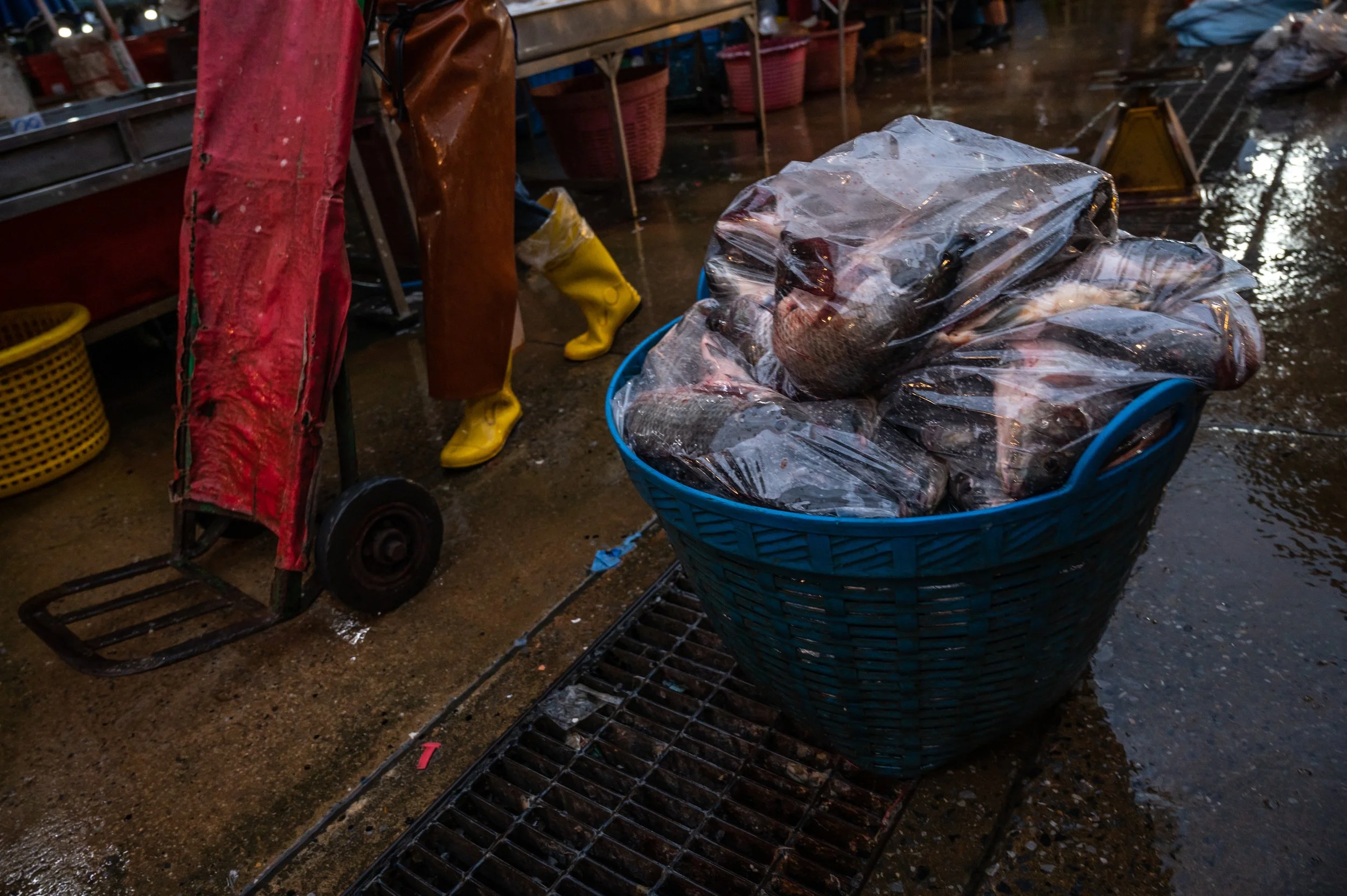 fish farm thailand-90.jpg