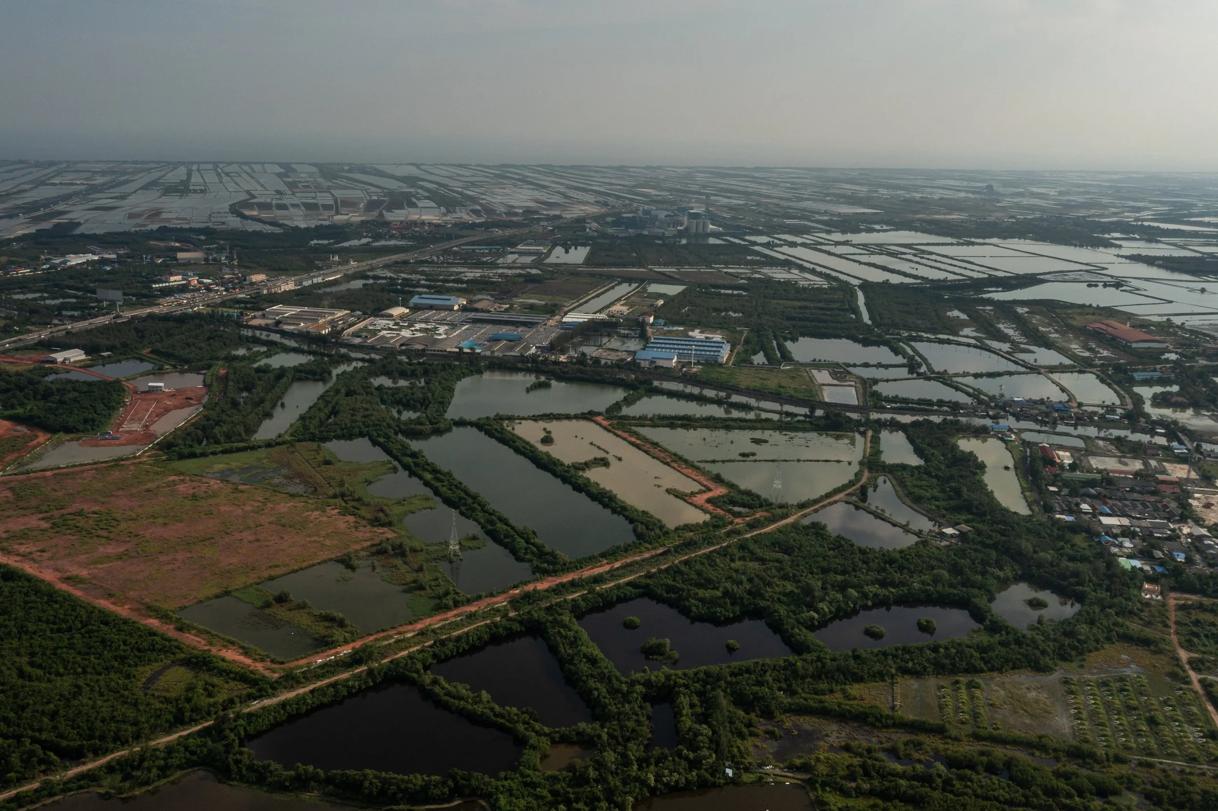 fish farm thailand-188.jpg