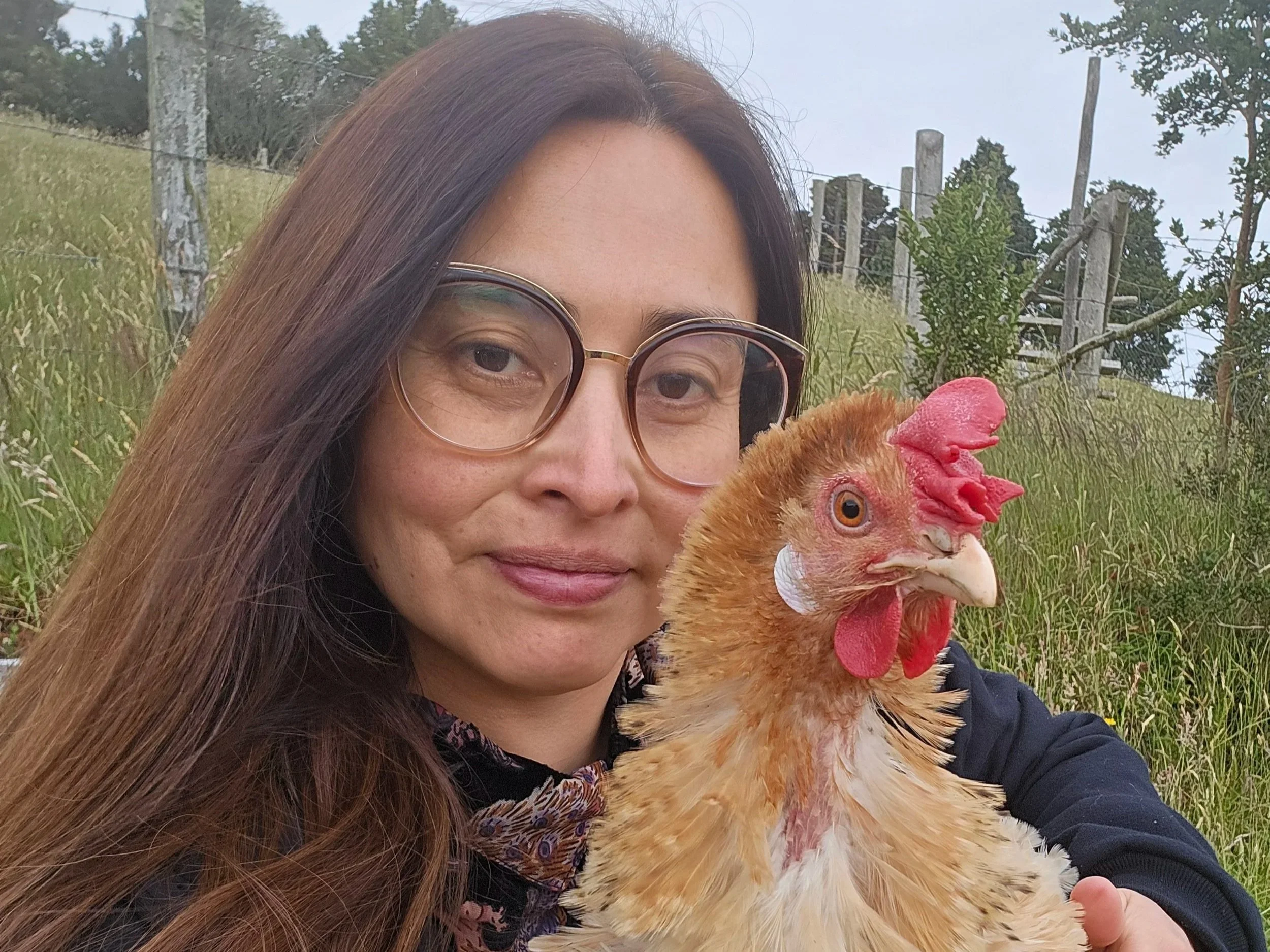 Elena: What One Rescued Hen Can Teach Us About Animal Sentience