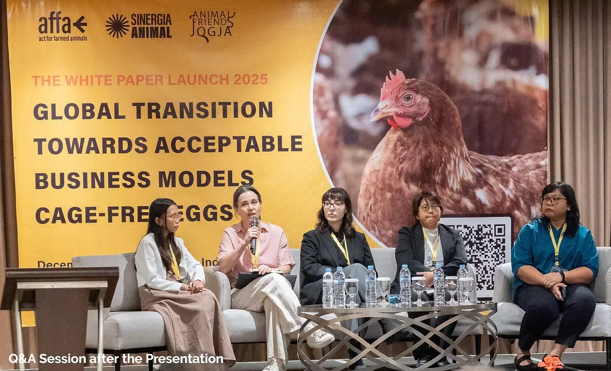 A Better Future For Farmed Animals. Sinergia Animal Launches 2025 White Paper “Cage-Free Eggs: Global Transition Towards Acceptable Business Models