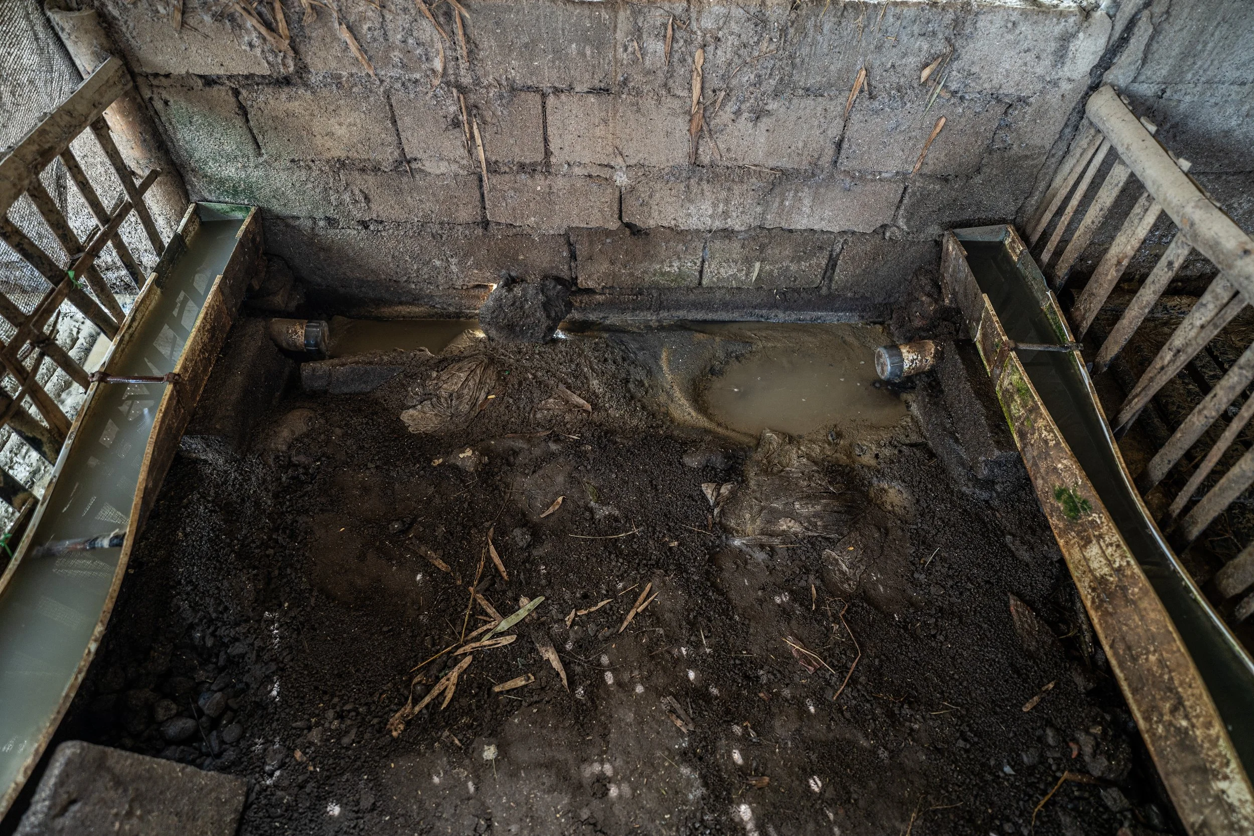 duck farm indonesia-136.jpg