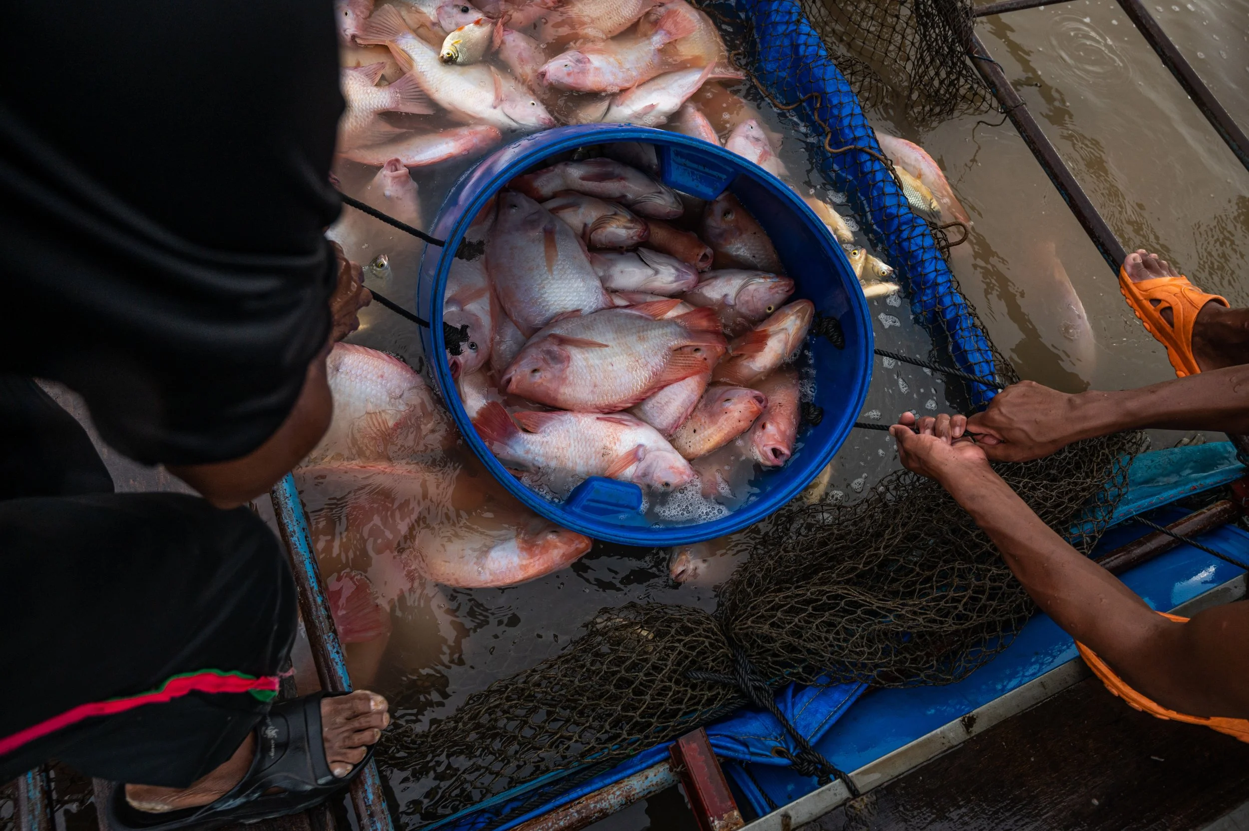 fish farm thailand-19.jpg