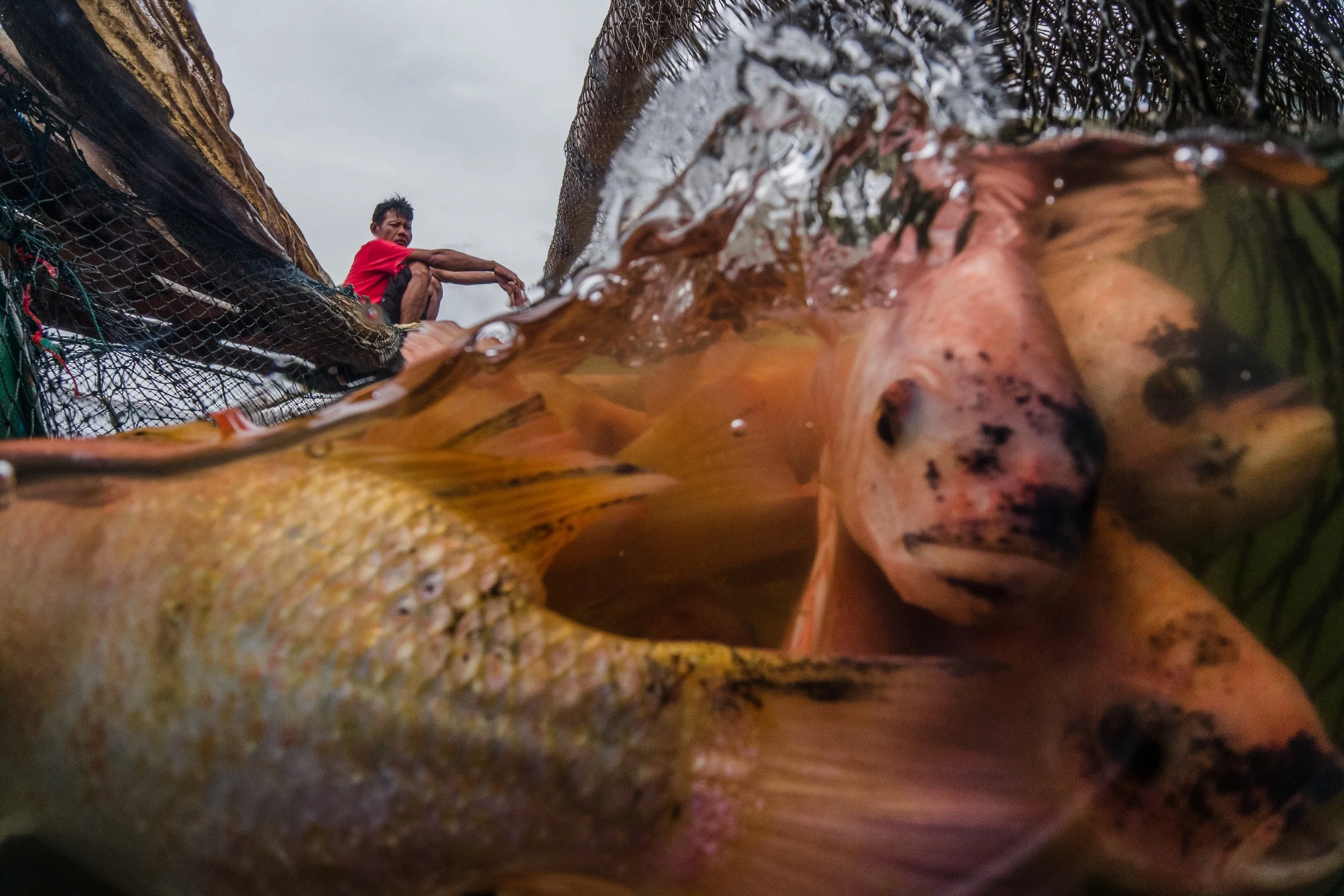 fish farm indonesia-39.jpg