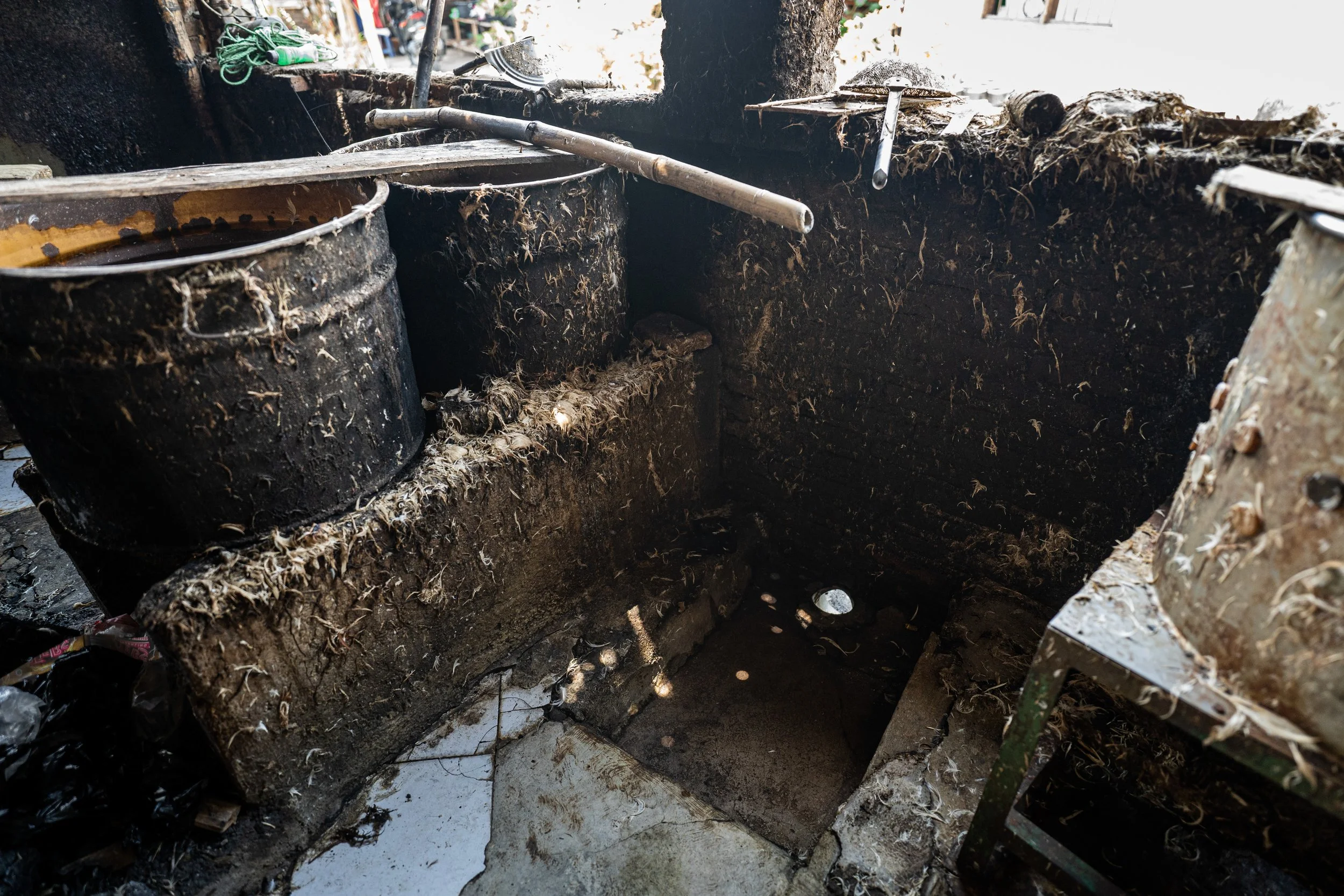 duck farm indonesia-108.jpg