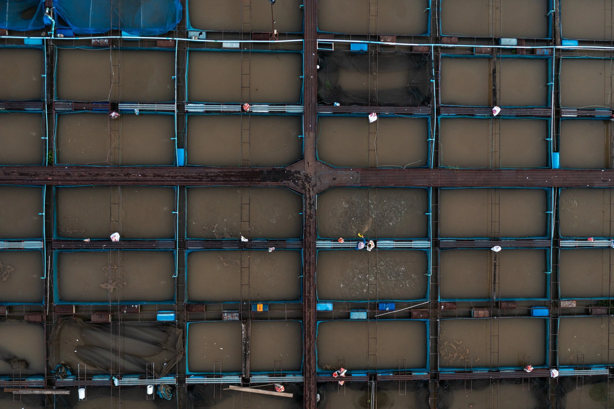 fish farm thailand-179.jpg