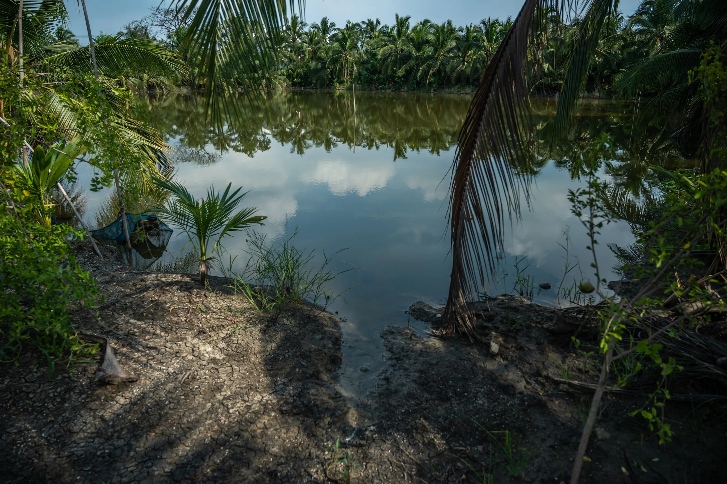 fish farm thailand-225.jpg