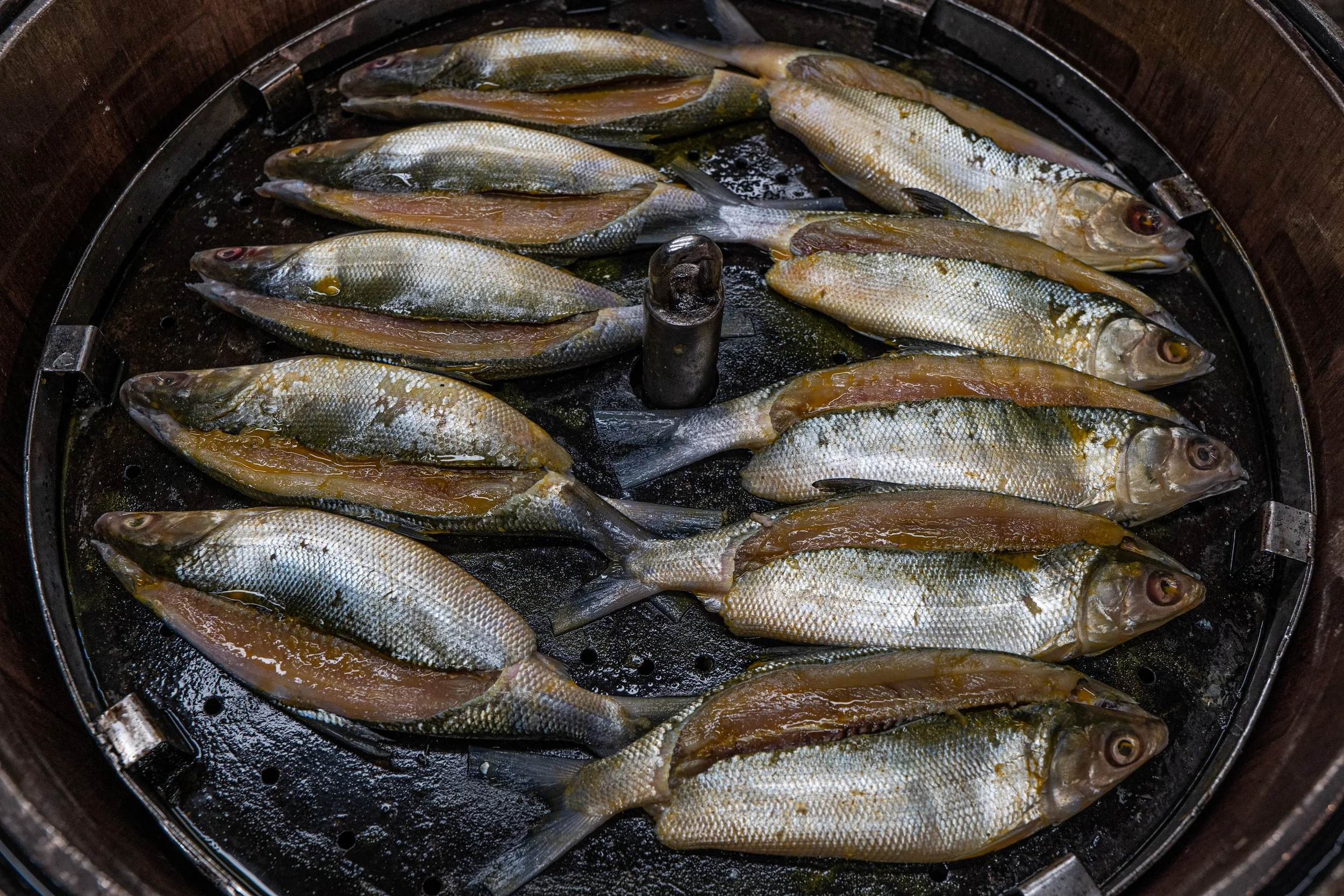 fish farm indonesia-41.jpg