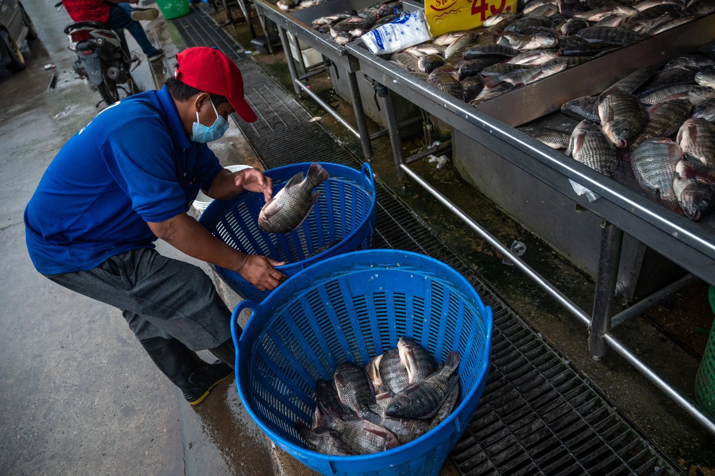 fish farm thailand-87.jpg