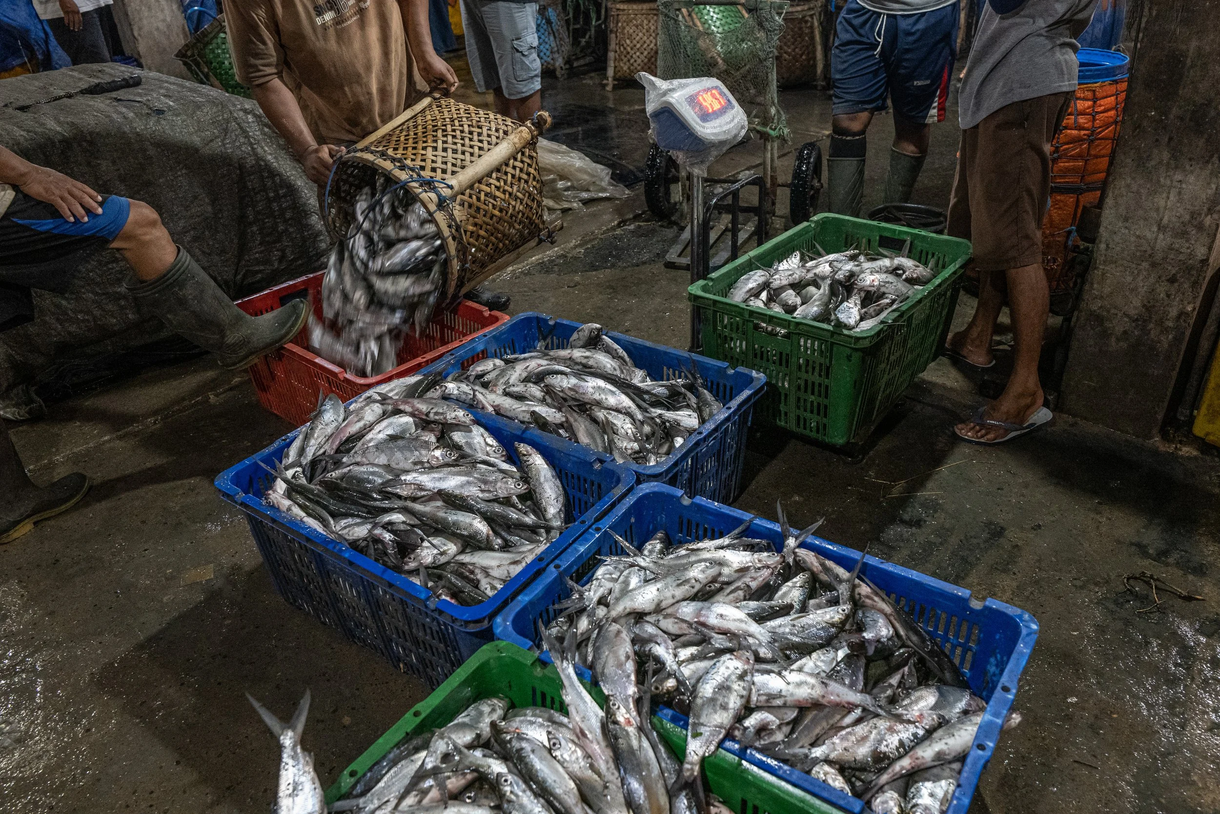 fish farm indonesia-24.jpg