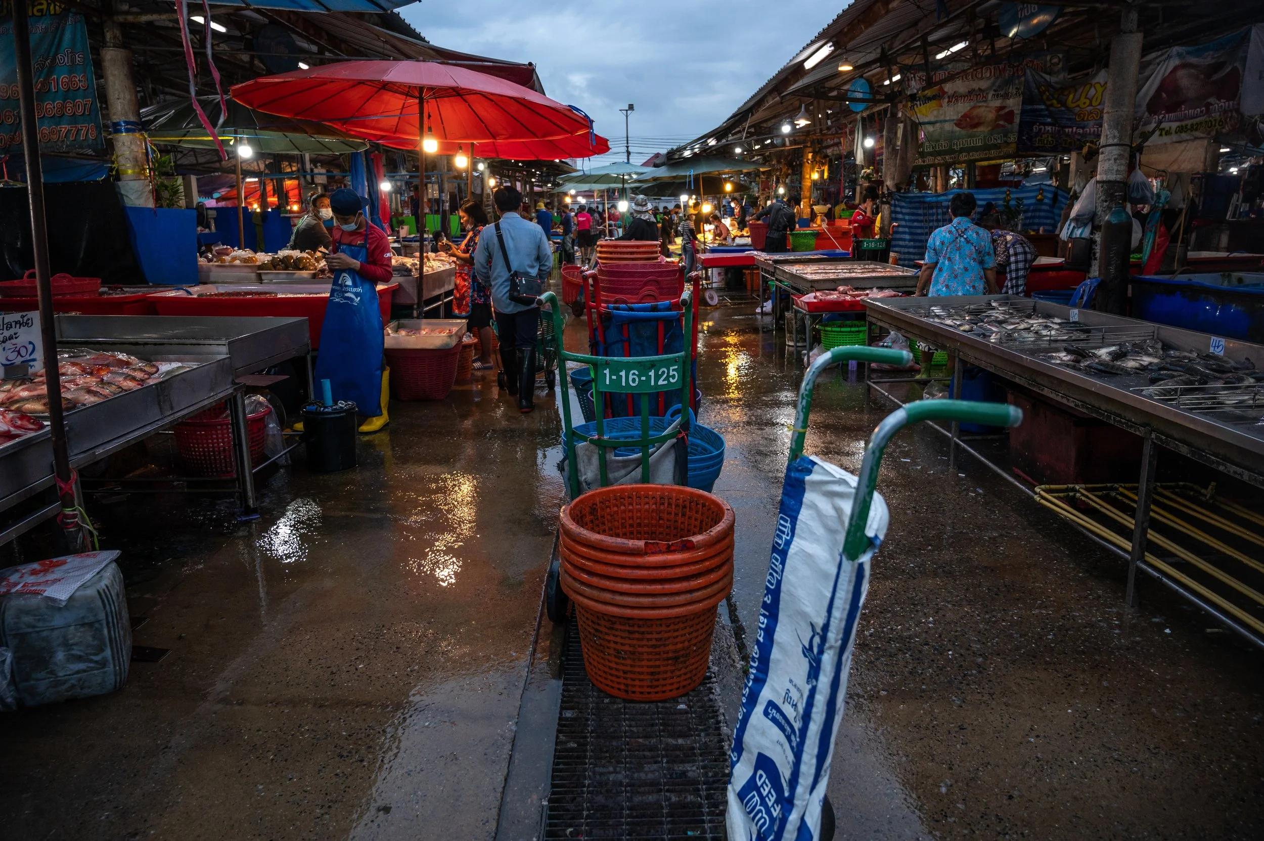 fish farm thailand-132.jpg