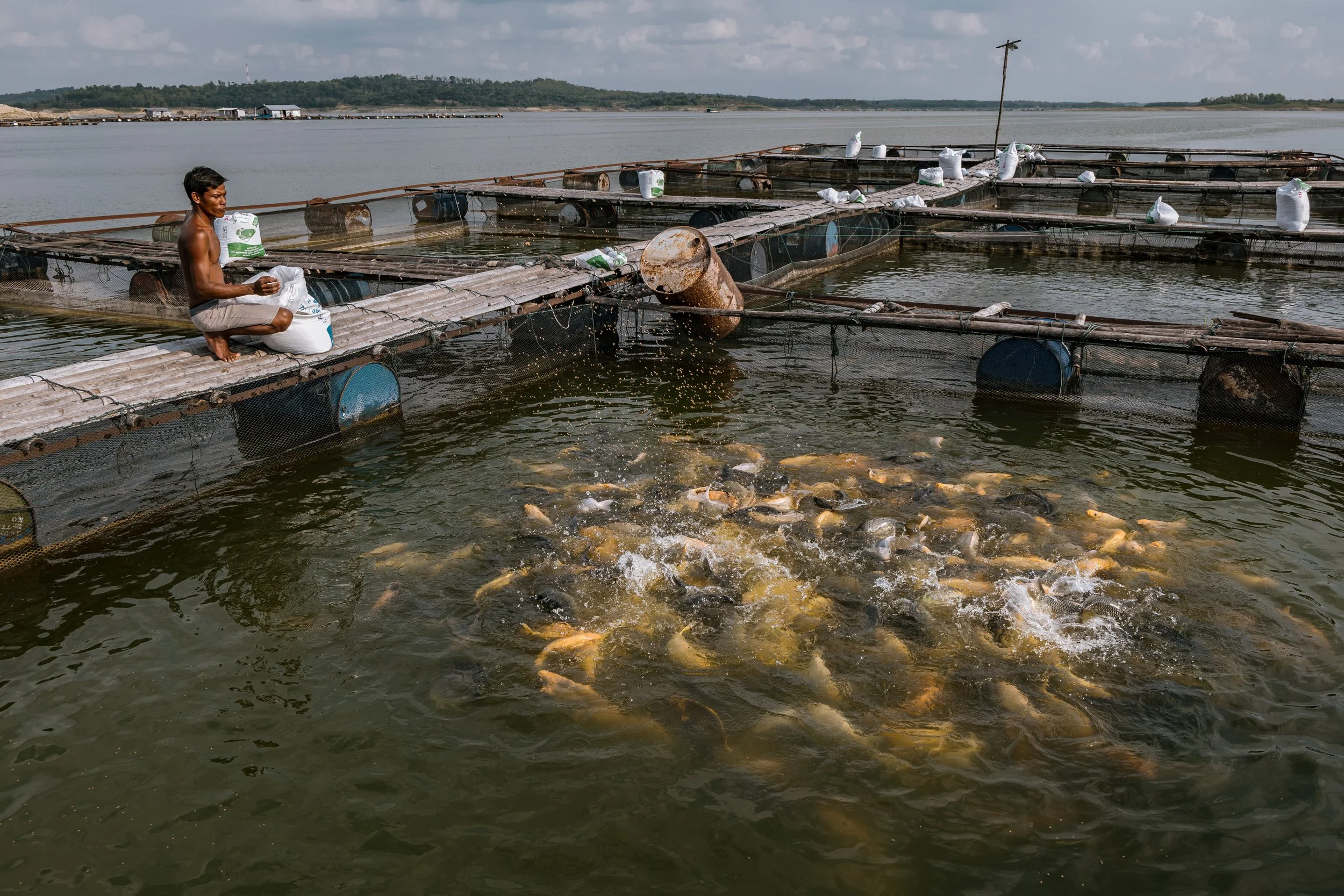 fish farm indonesia-19.jpg
