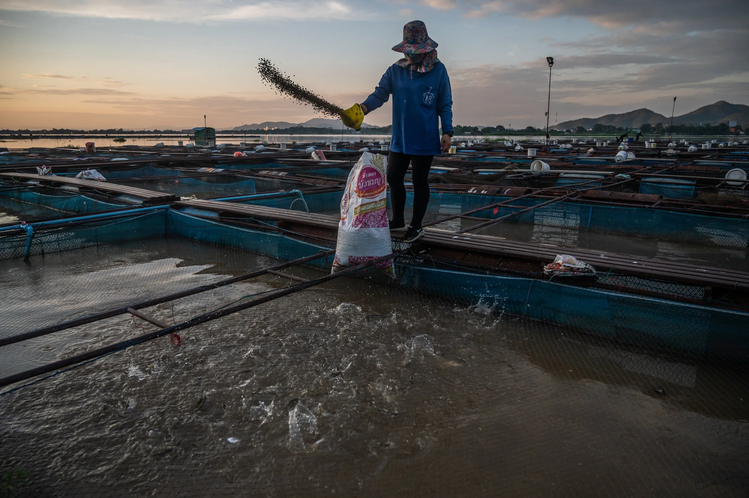 fish farm thailand-148.jpg