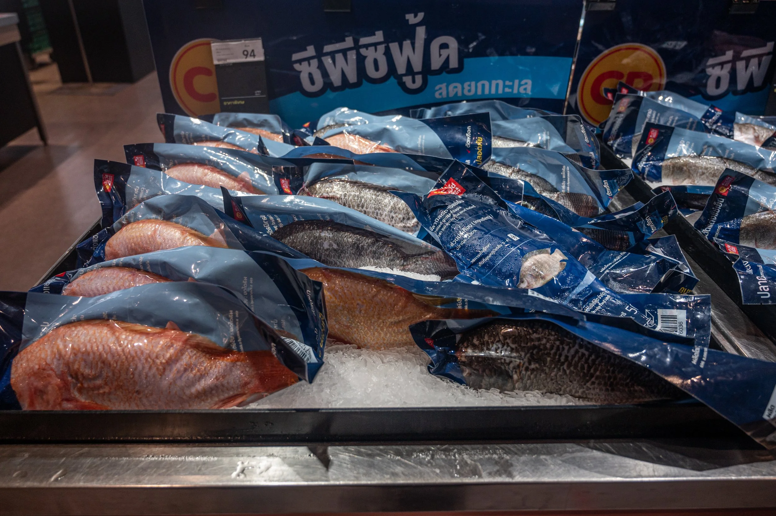 fish farm thailand-249.jpg