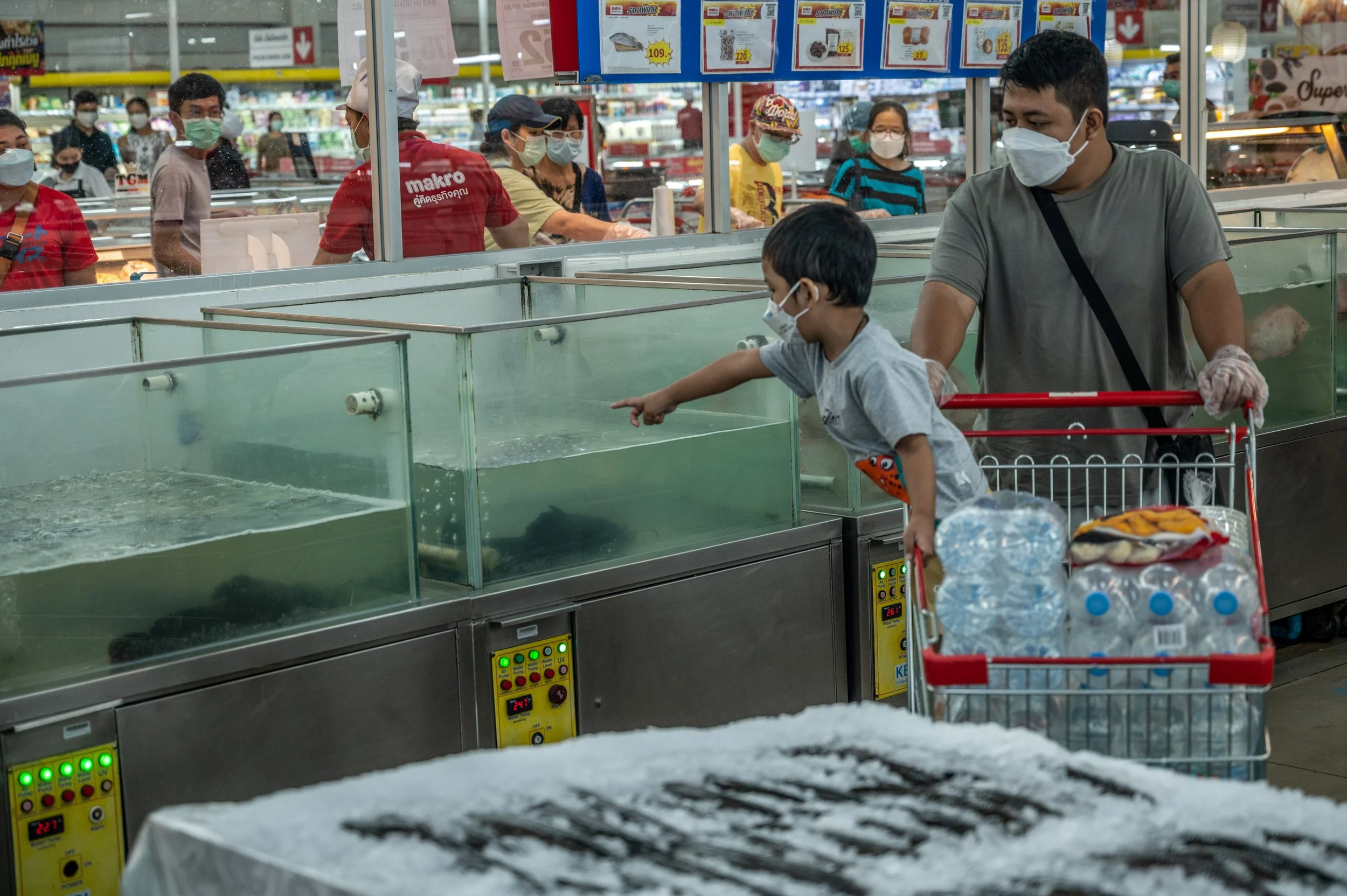 fish farm thailand-246.jpg
