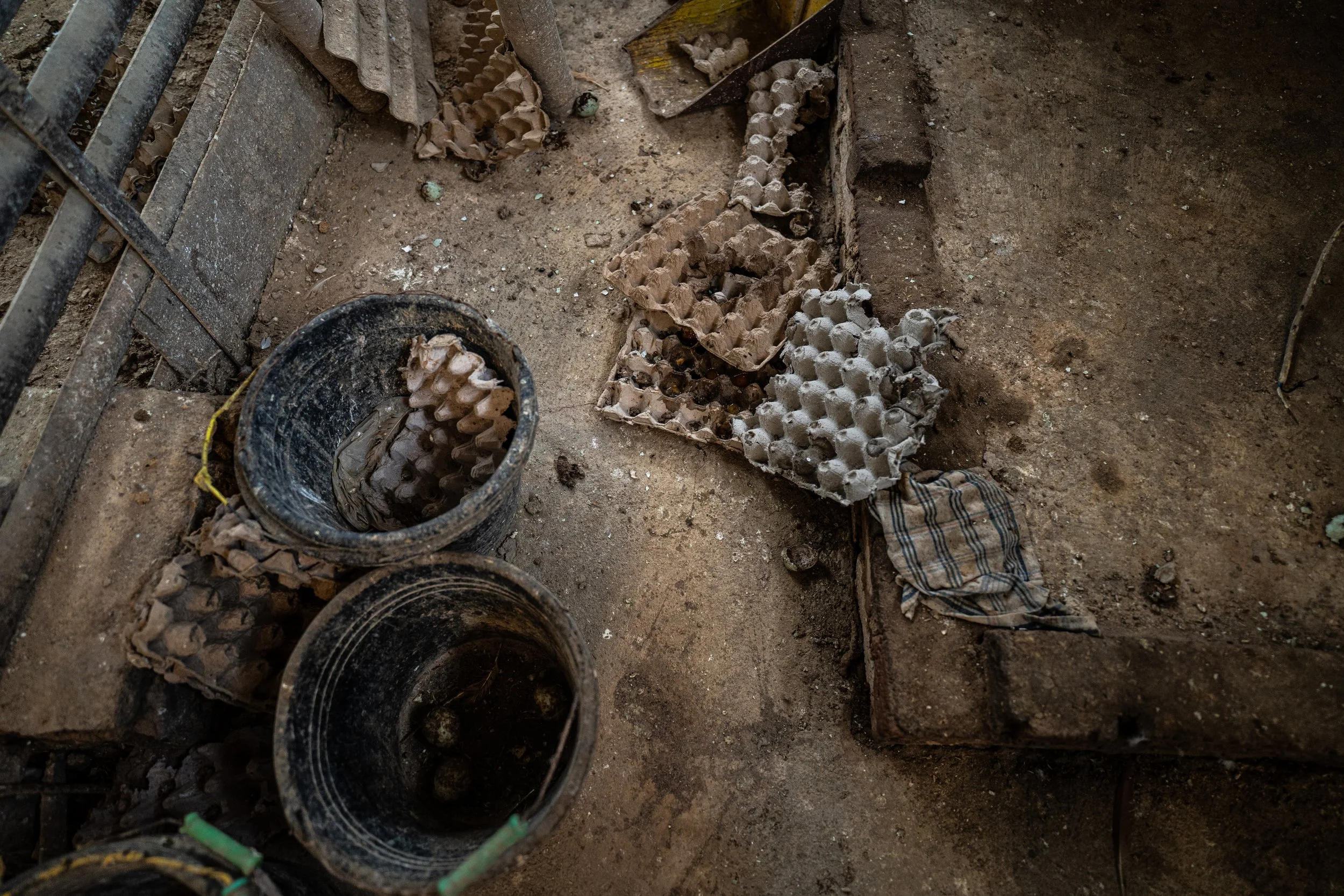 duck farm indonesia-155.jpg