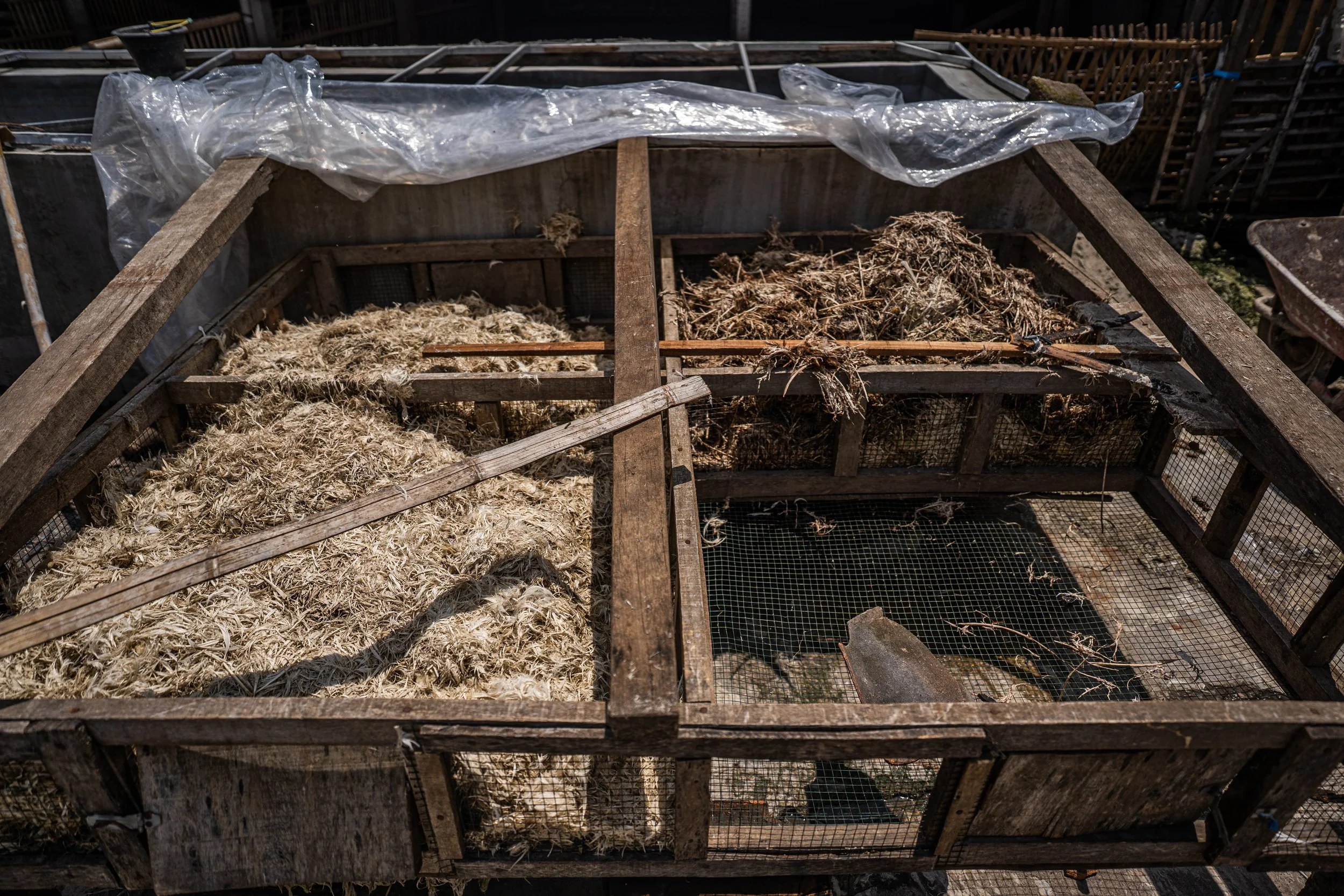 duck farm indonesia-93.jpg