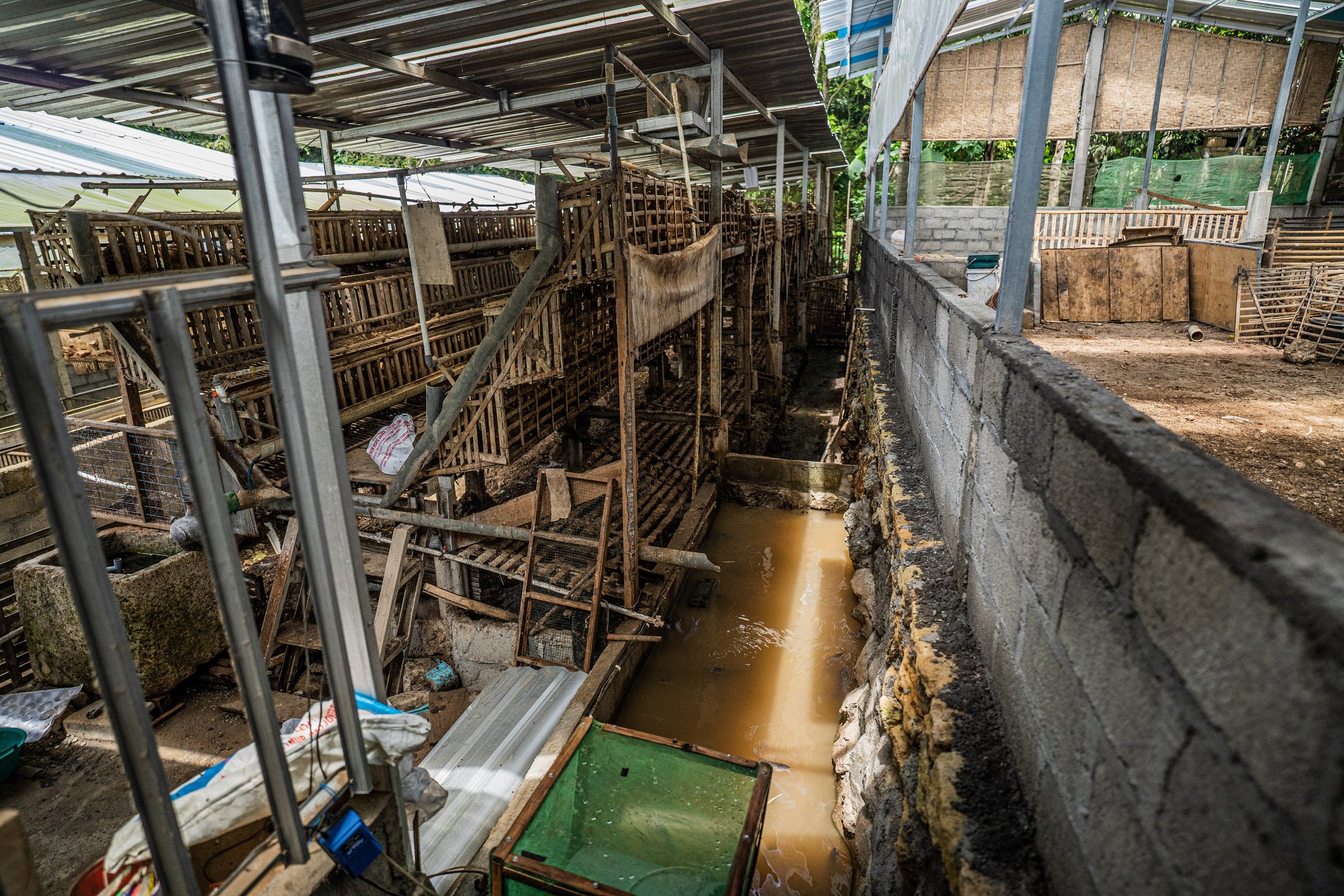 duck farm indonesia-196.jpg