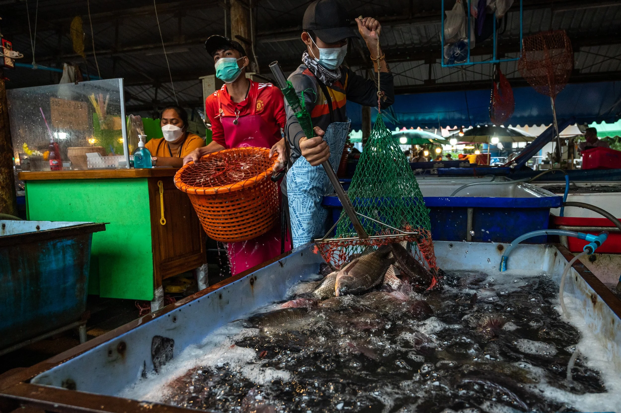 fish farm thailand-54.jpg