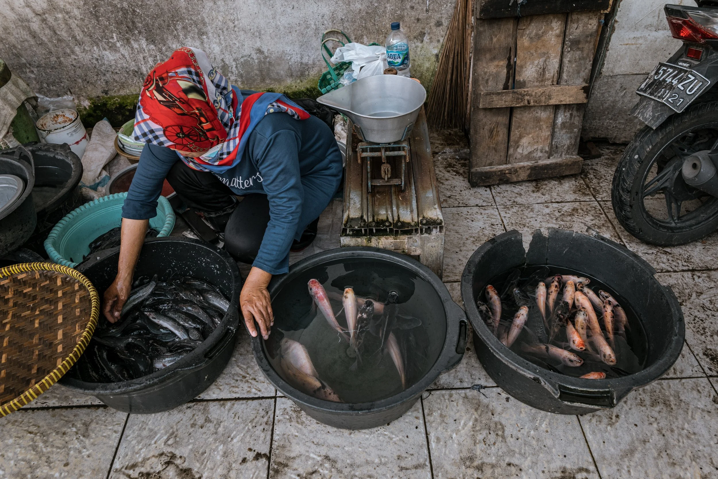 fish farm indonesia-53.jpg