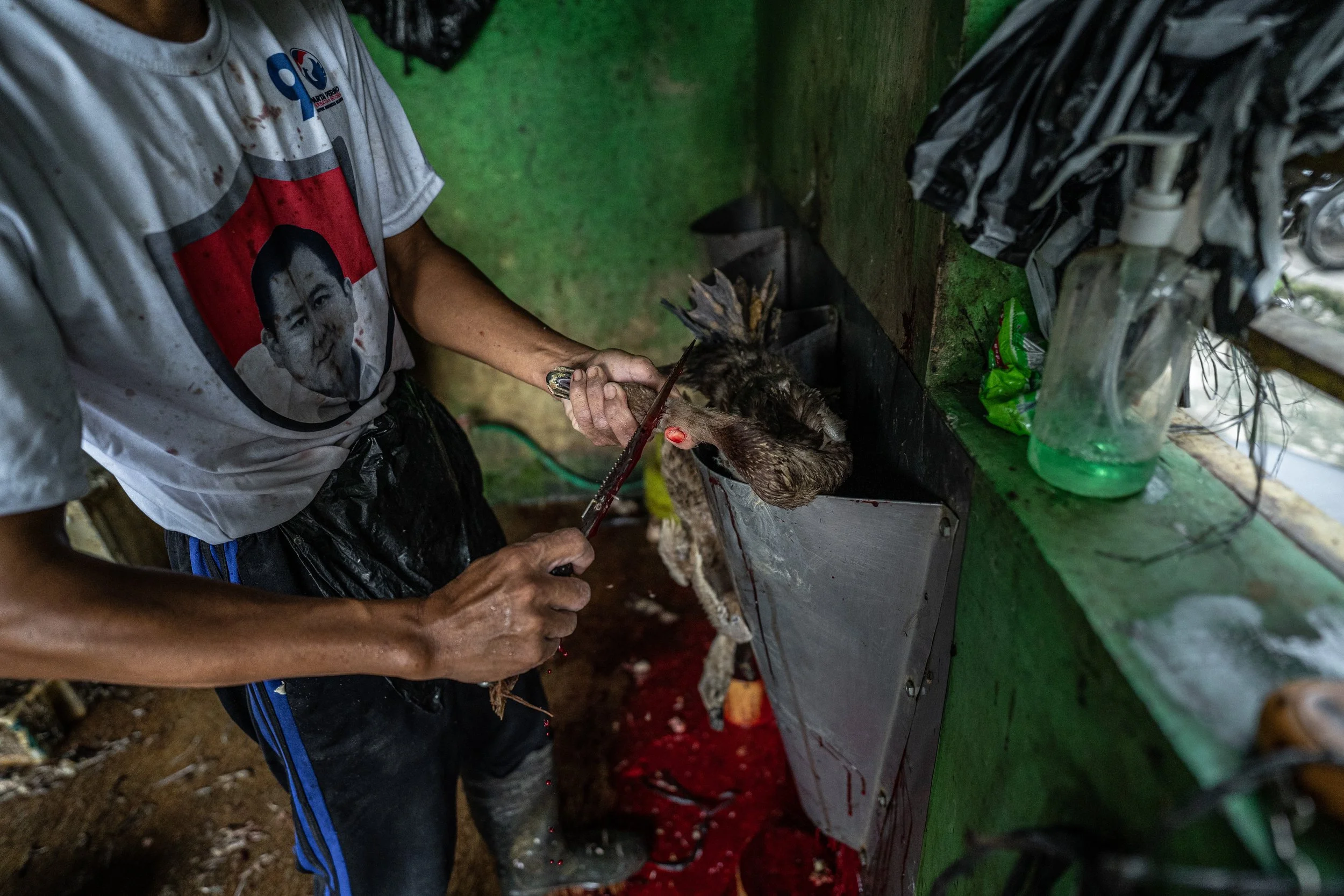 duck farm indonesia-32.jpg