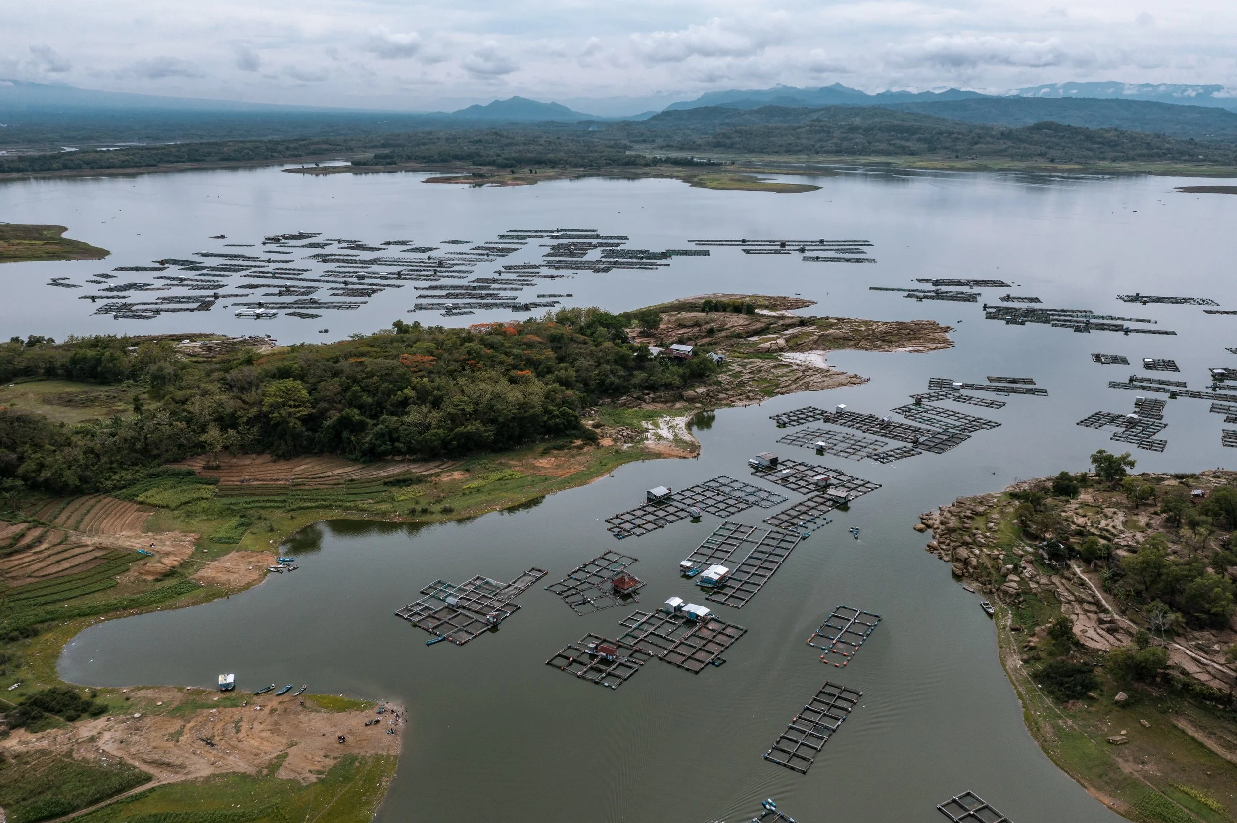fish farm indonesia-49.jpg