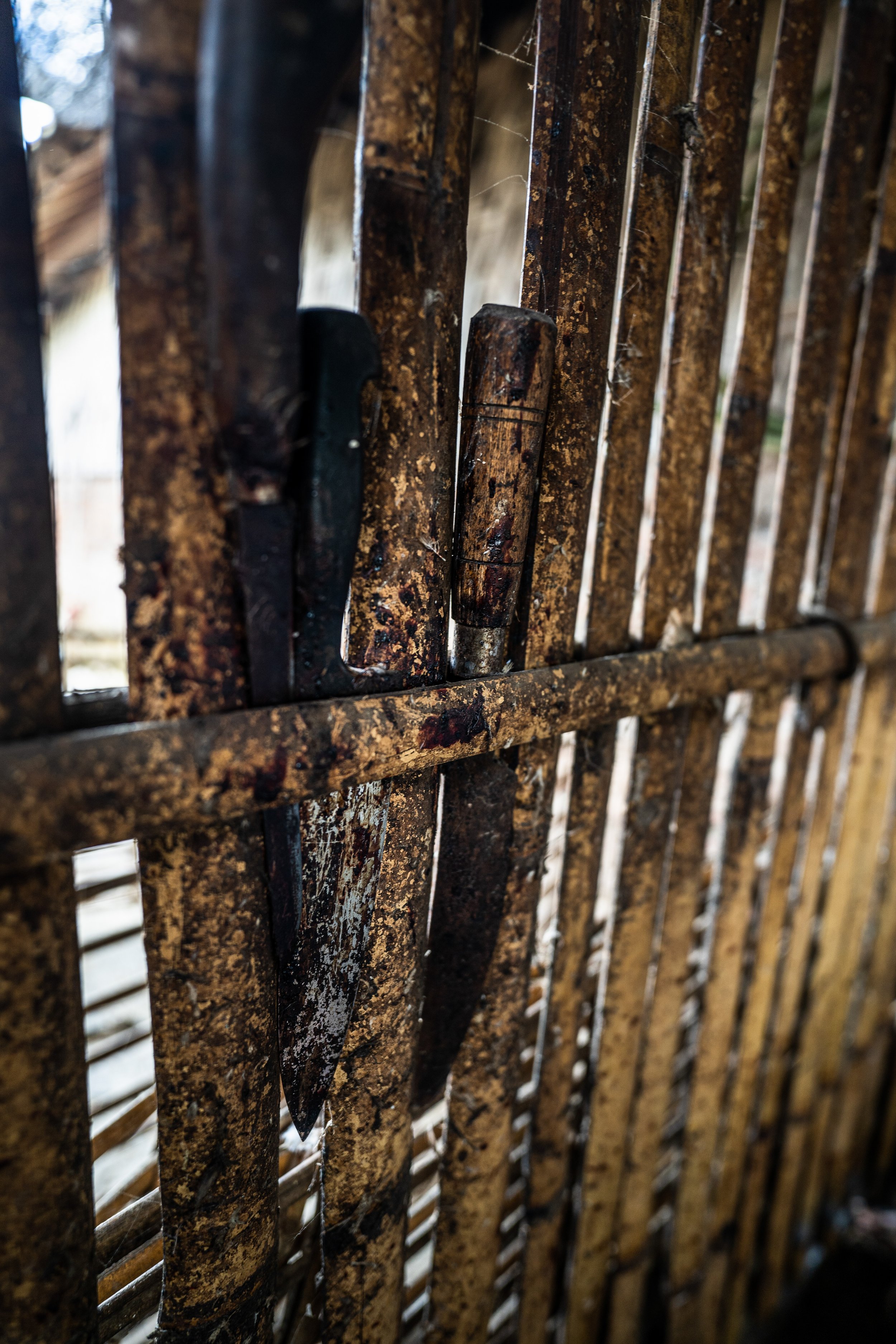 duck farm indonesia-87.jpg