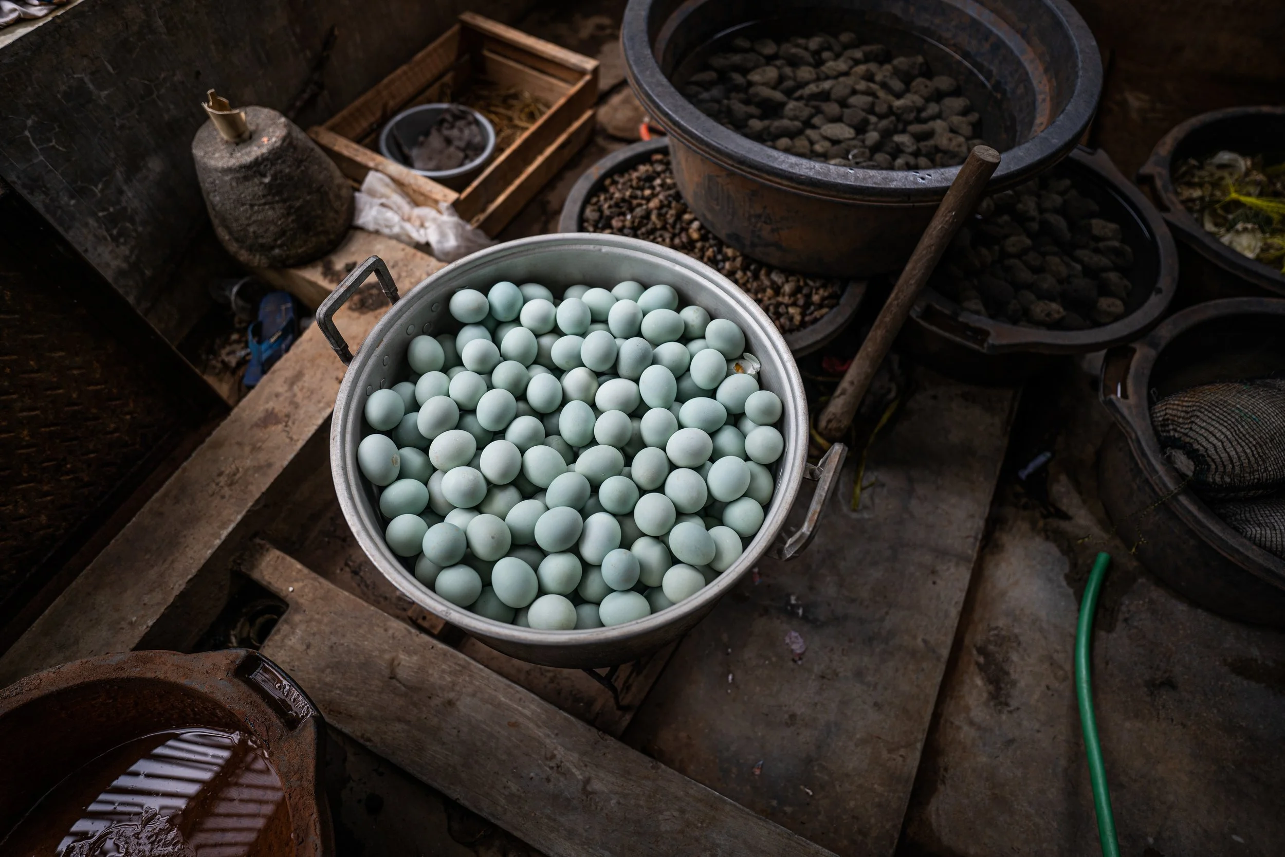 duck farm indonesia-50.jpg