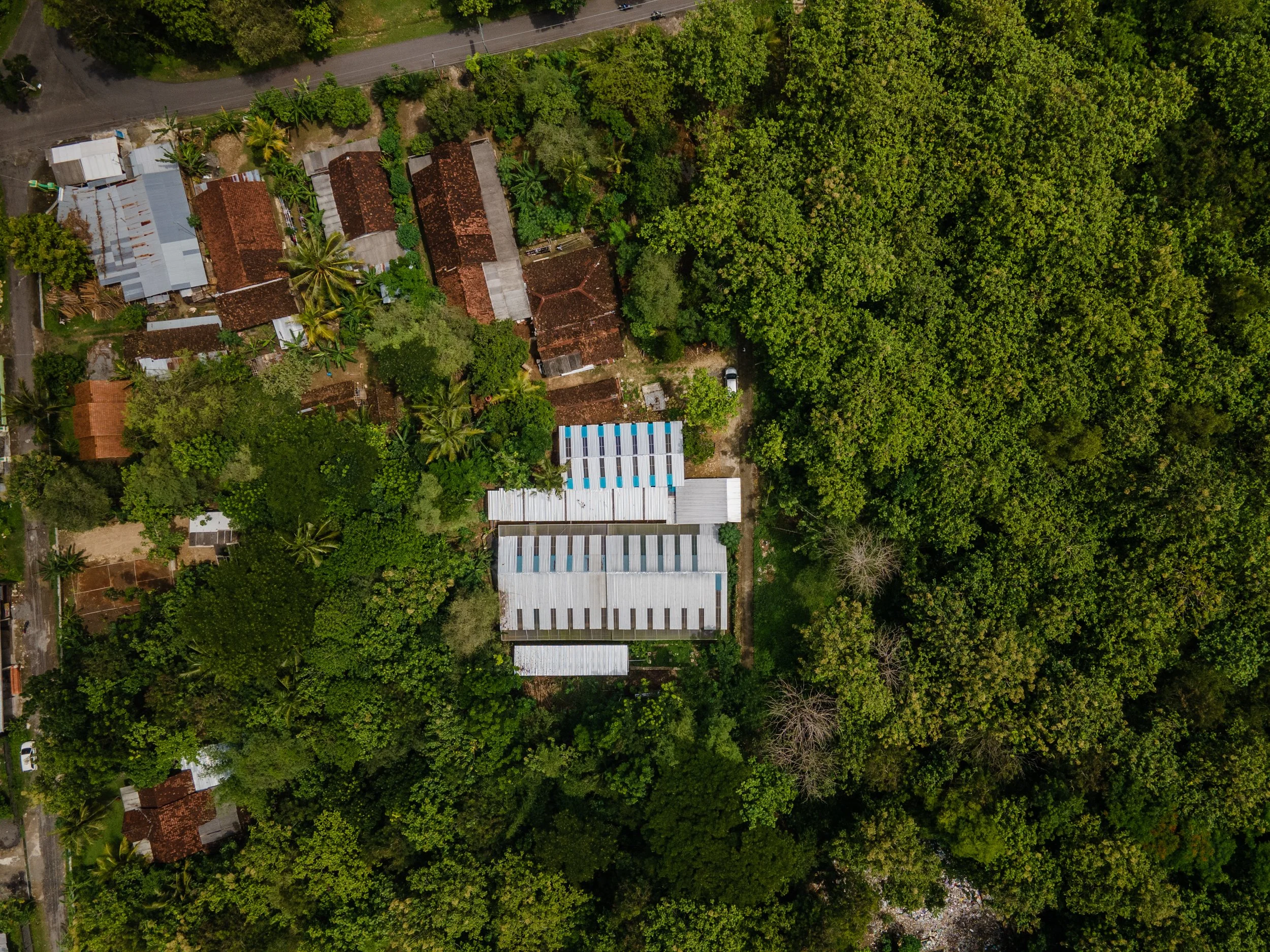 duck farm indonesia-126.jpg