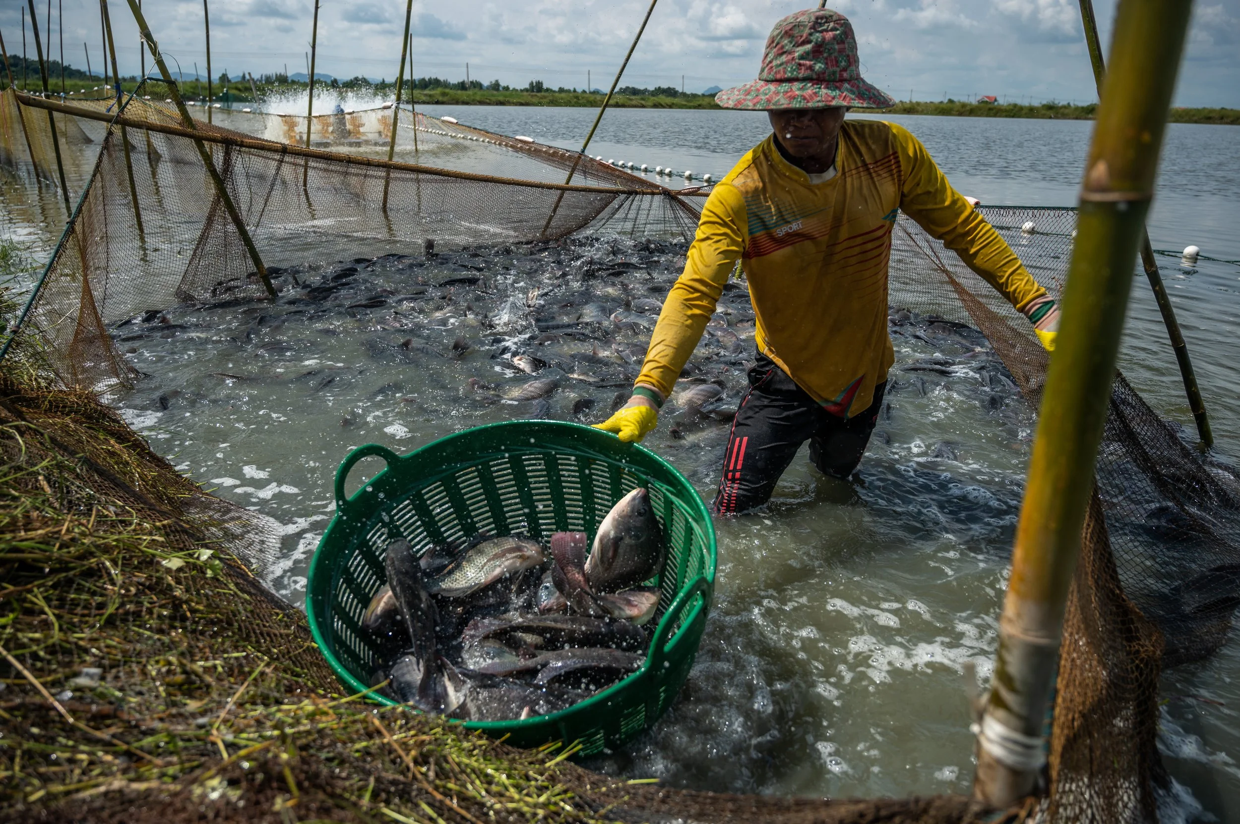 fish farm thailand-154.jpg