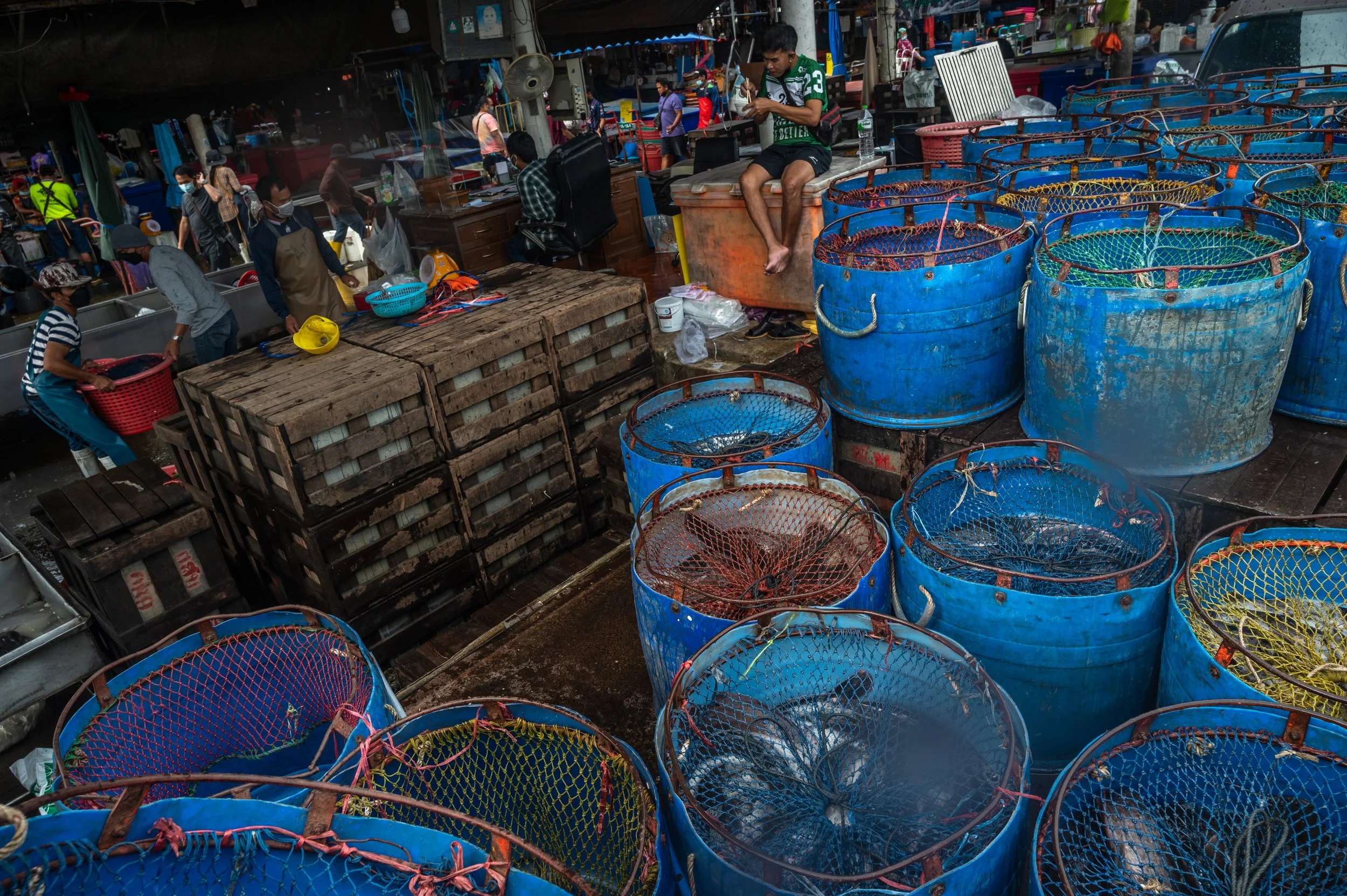 fish farm thailand-26.jpg