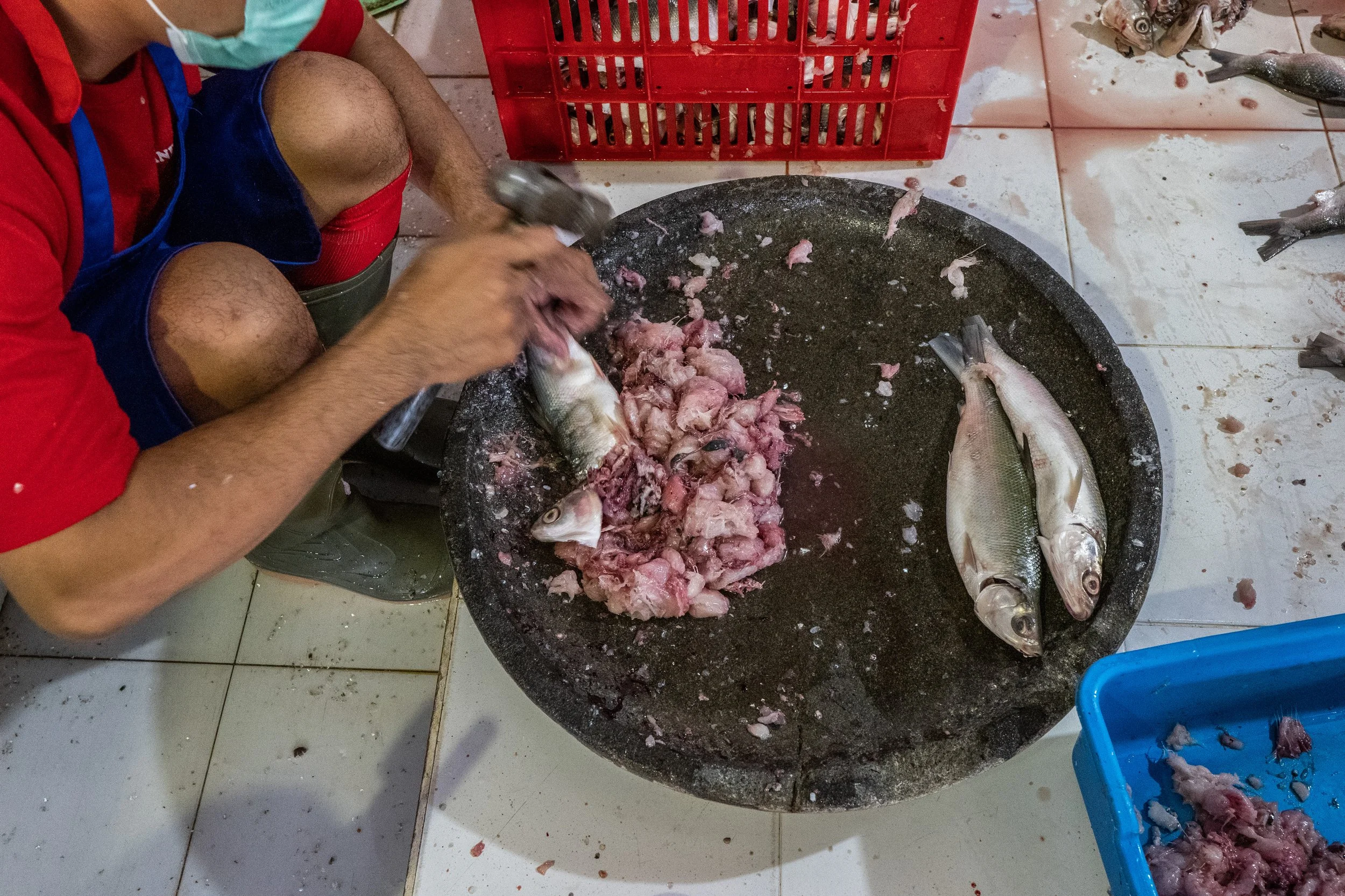 fish farm indonesia-8.jpg