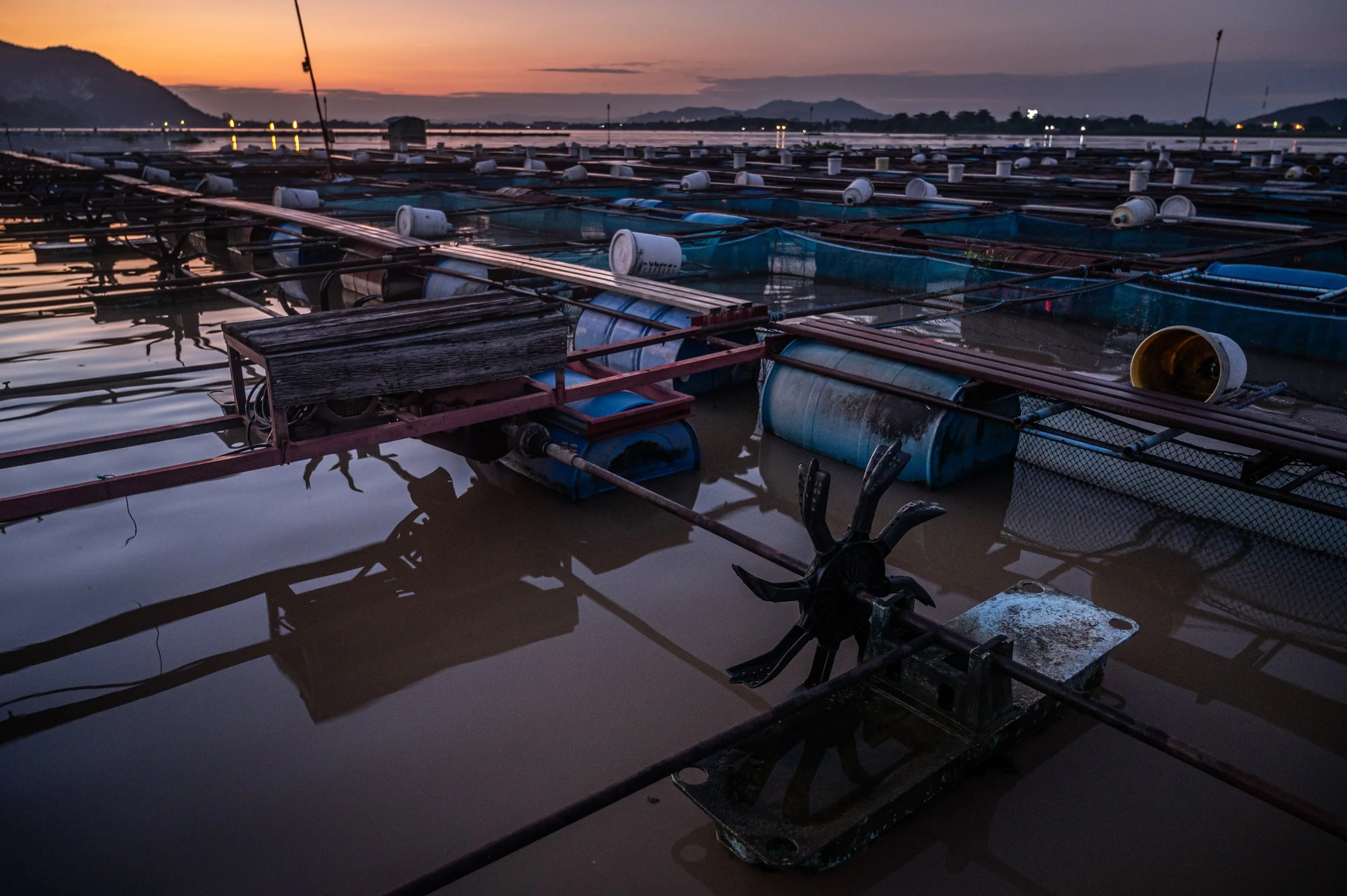 fish farm thailand-146.jpg