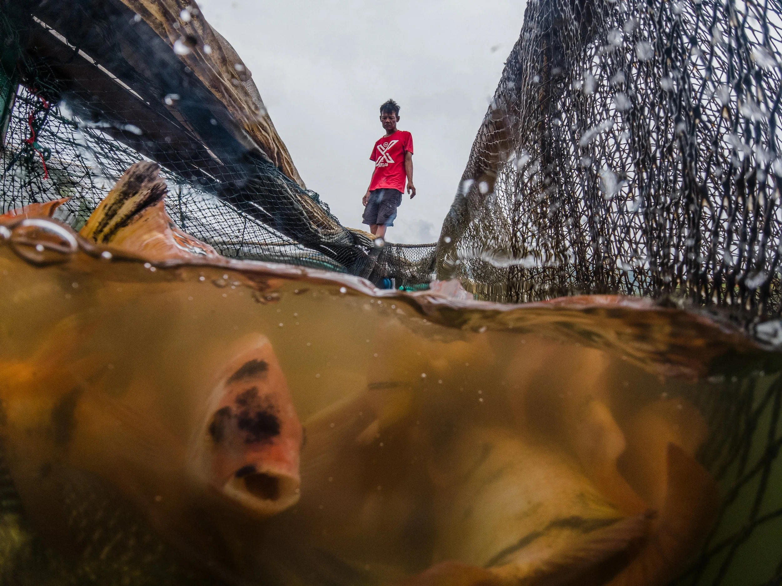 fish farm indonesia-46.jpg